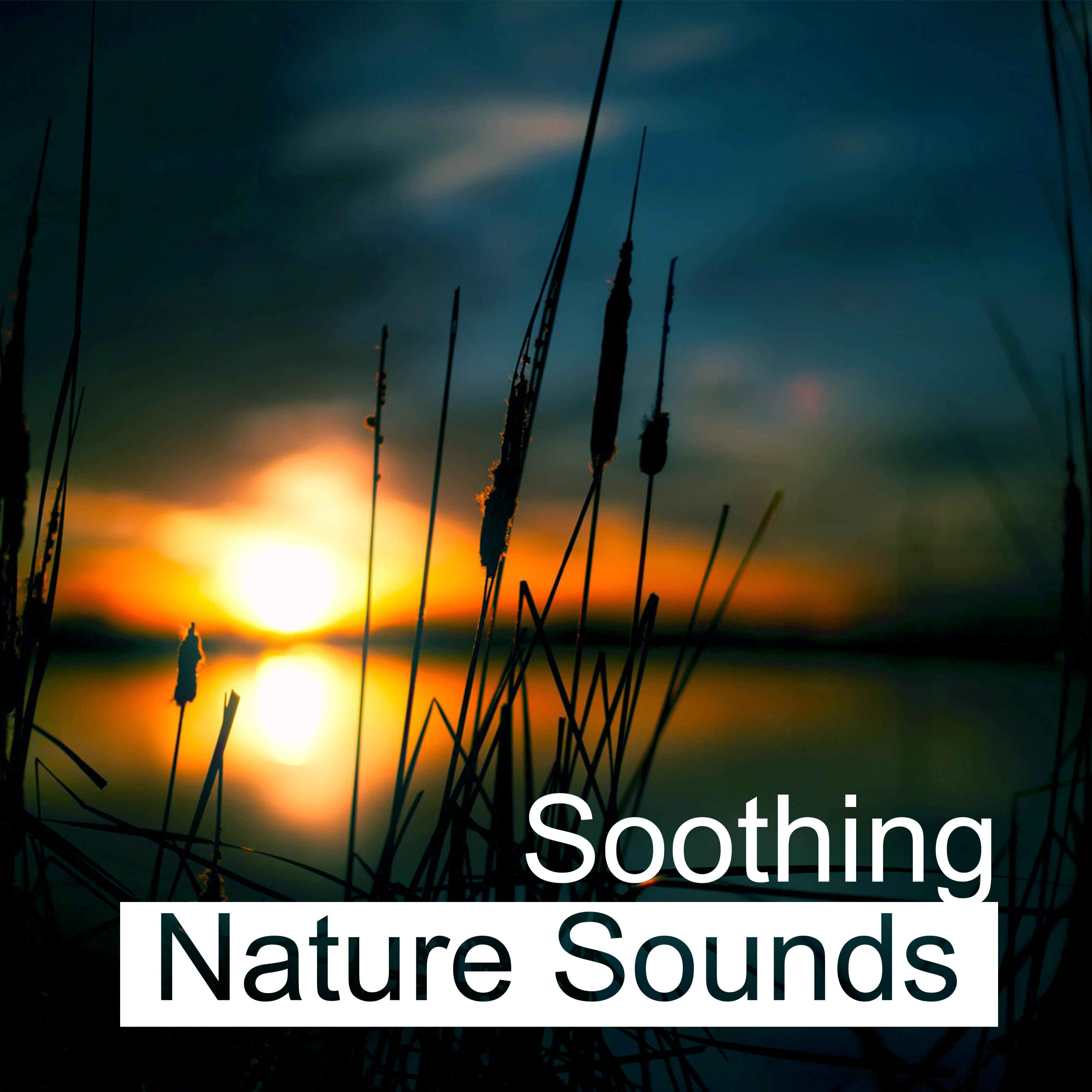 Soothing Nature Sounds – Easy Way to Relax, Rest with Nature Music, Calm Down, Mind Peace
