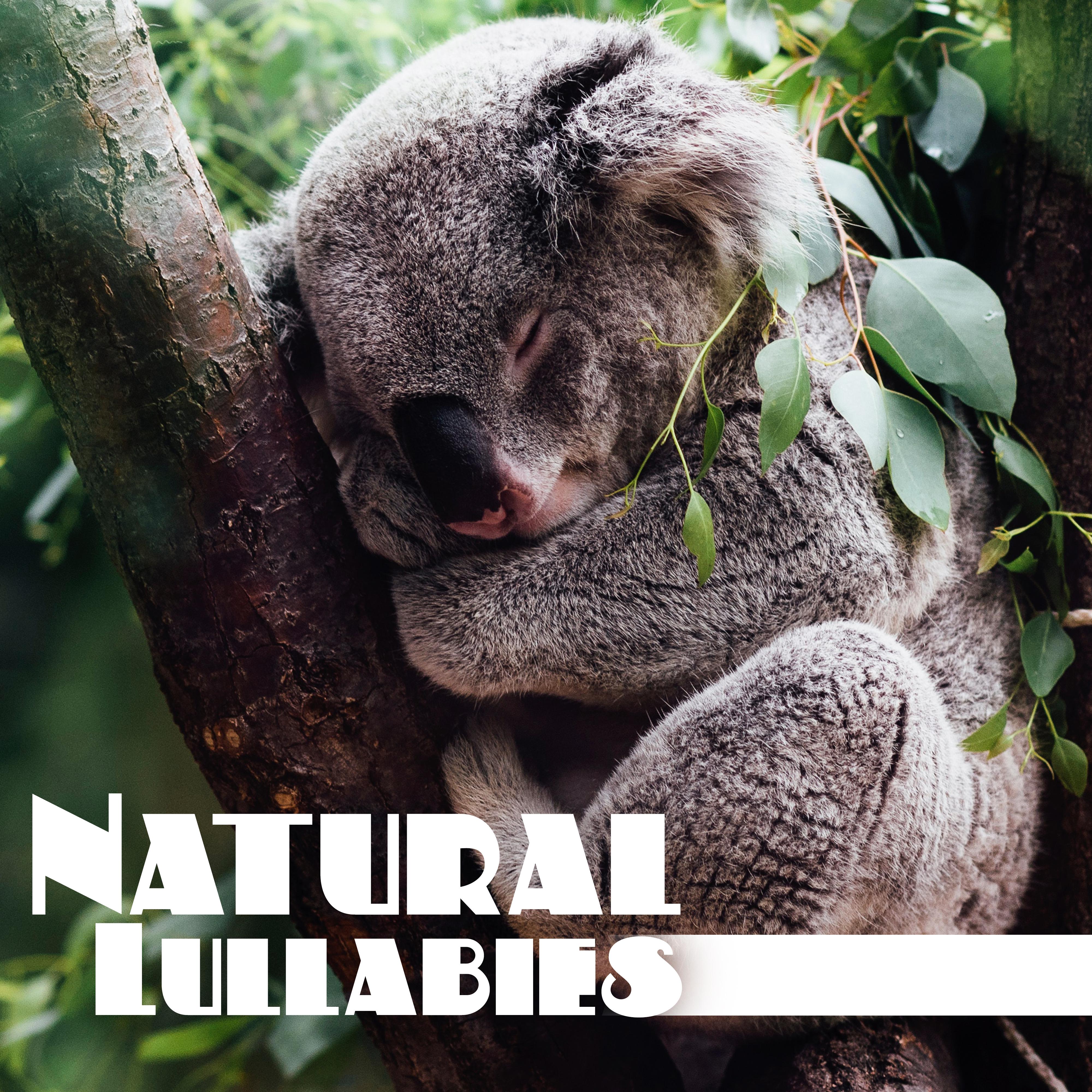 Natural Lullabies – Relaxing Sounds Of Nature for Calm Down Before Sleep, Deep Sleep, Relaxing Music Therapy