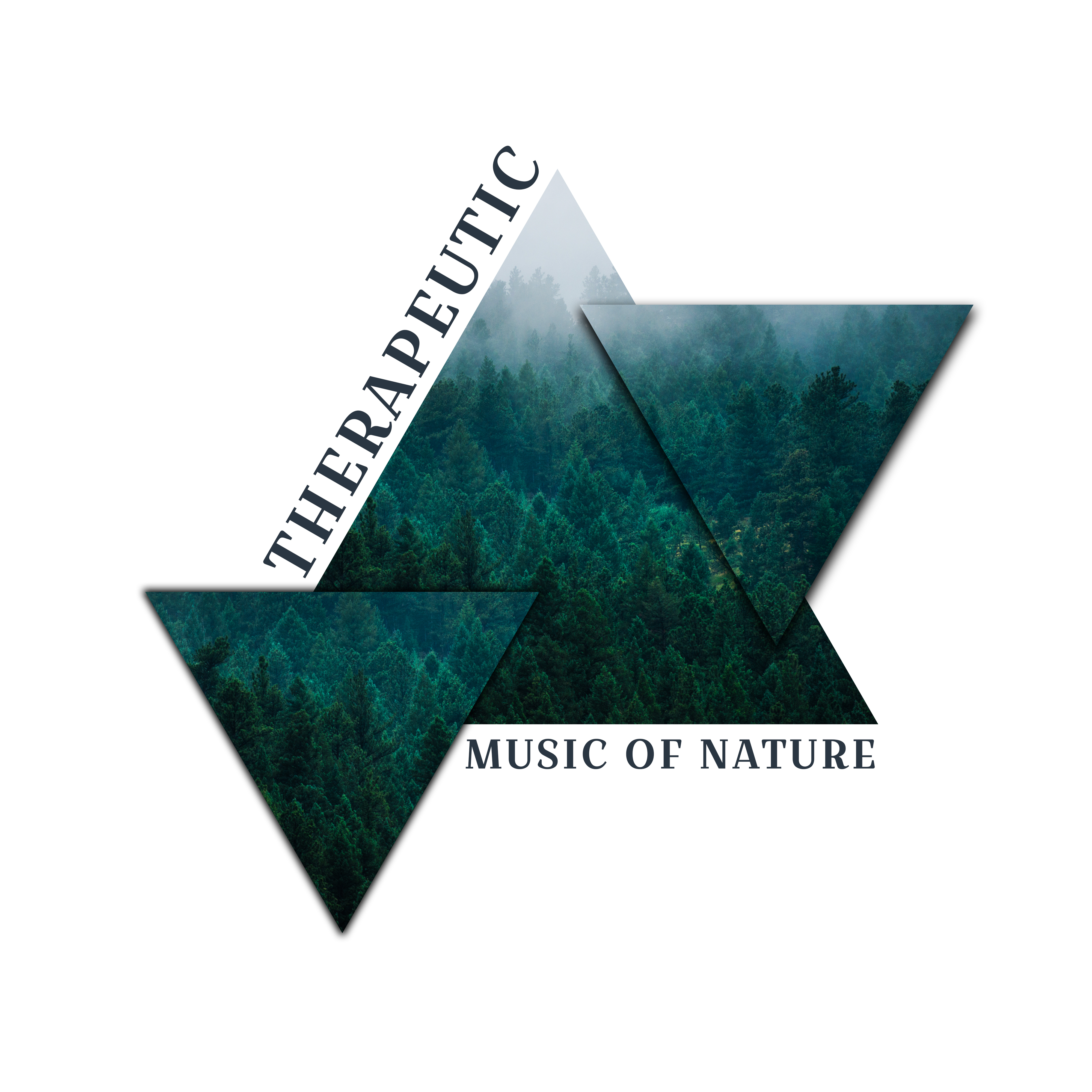 Therapeutic Music of Nature