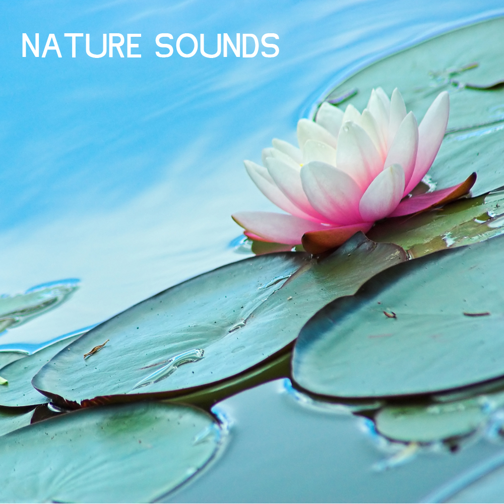 Wave Sounds calming Sounds of Nature to Heal and Energize Sound Effect