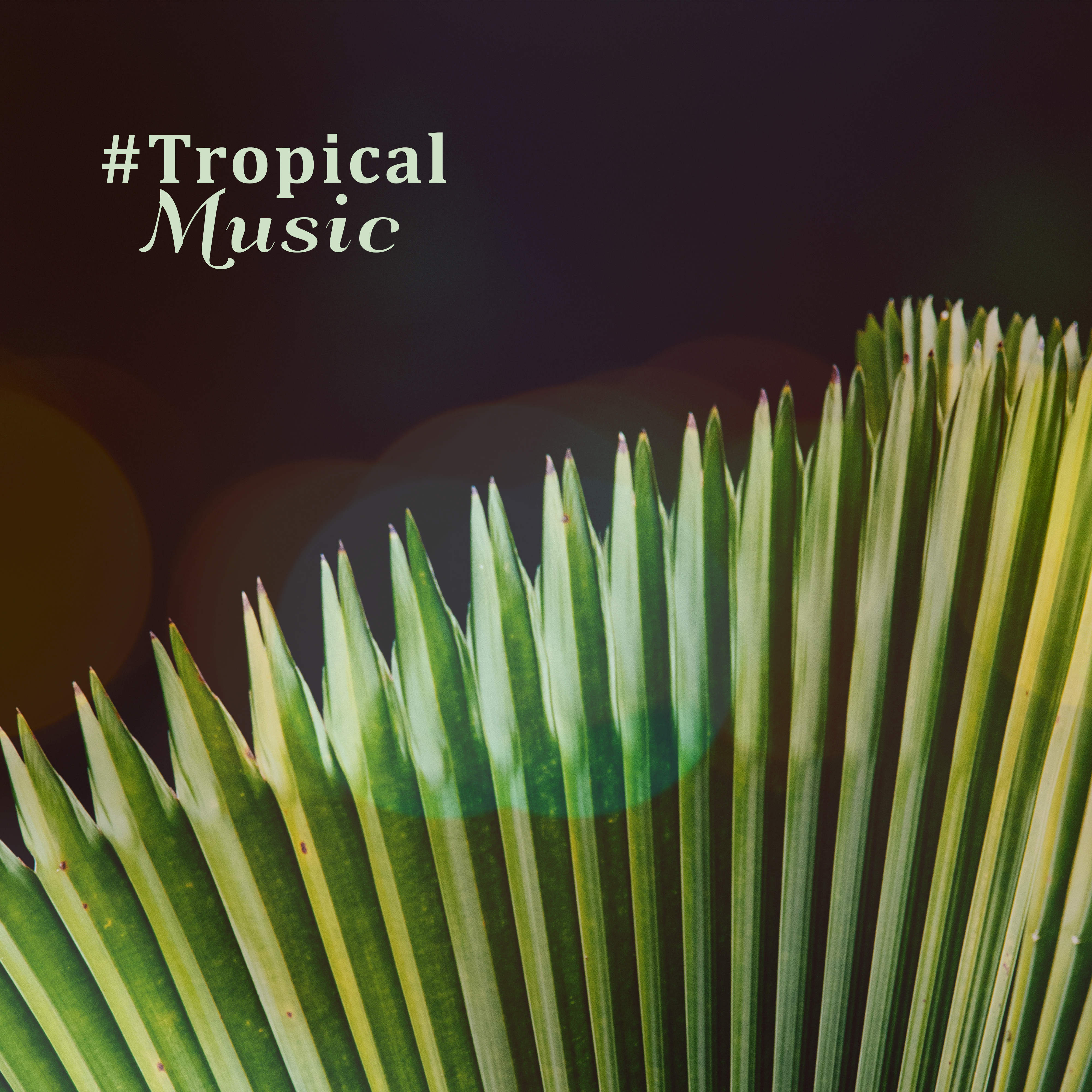 #Tropical Music