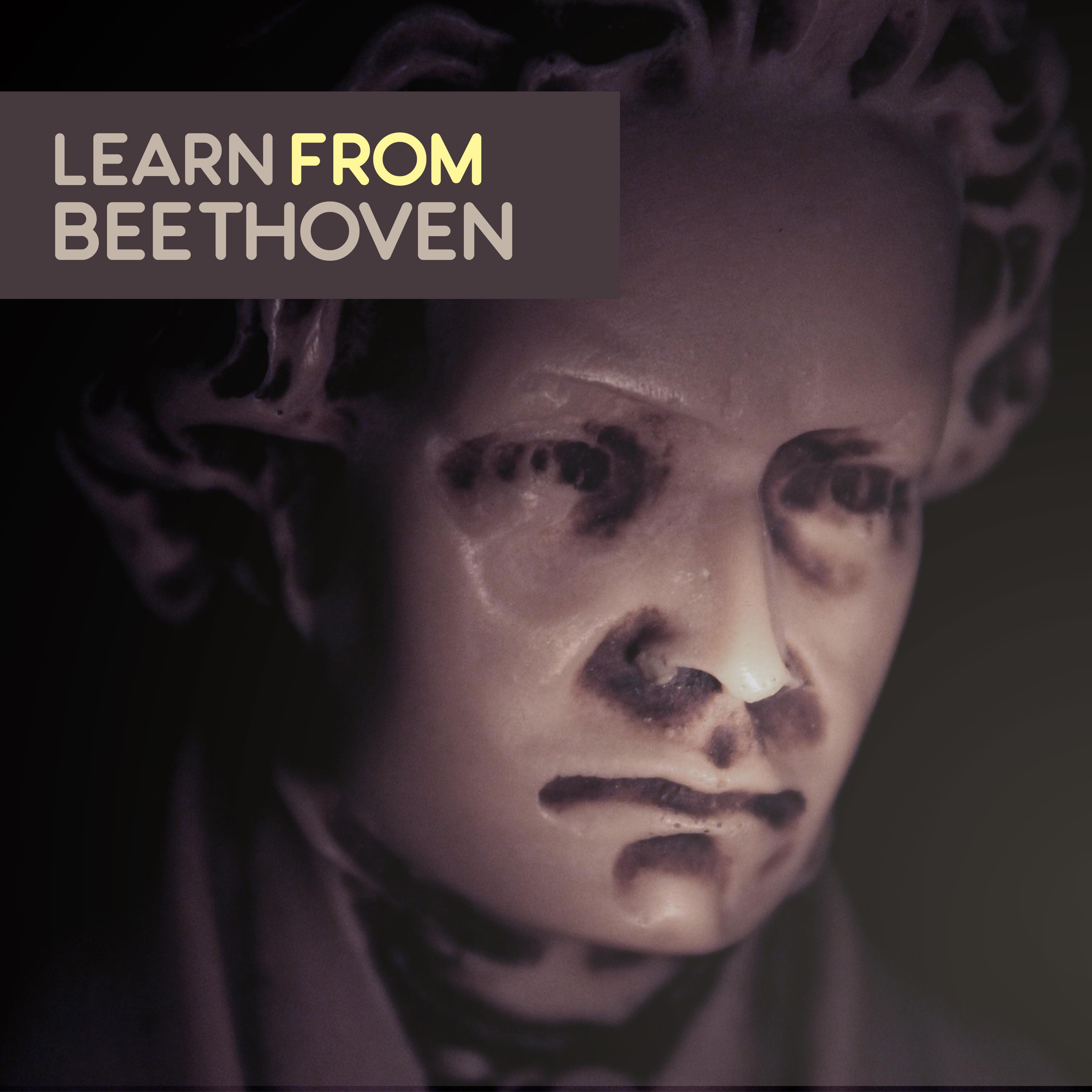 Learn from Beethoven – Studying Music, Focus, Stress Relief, Music Helps Pass Exam, Easy Work