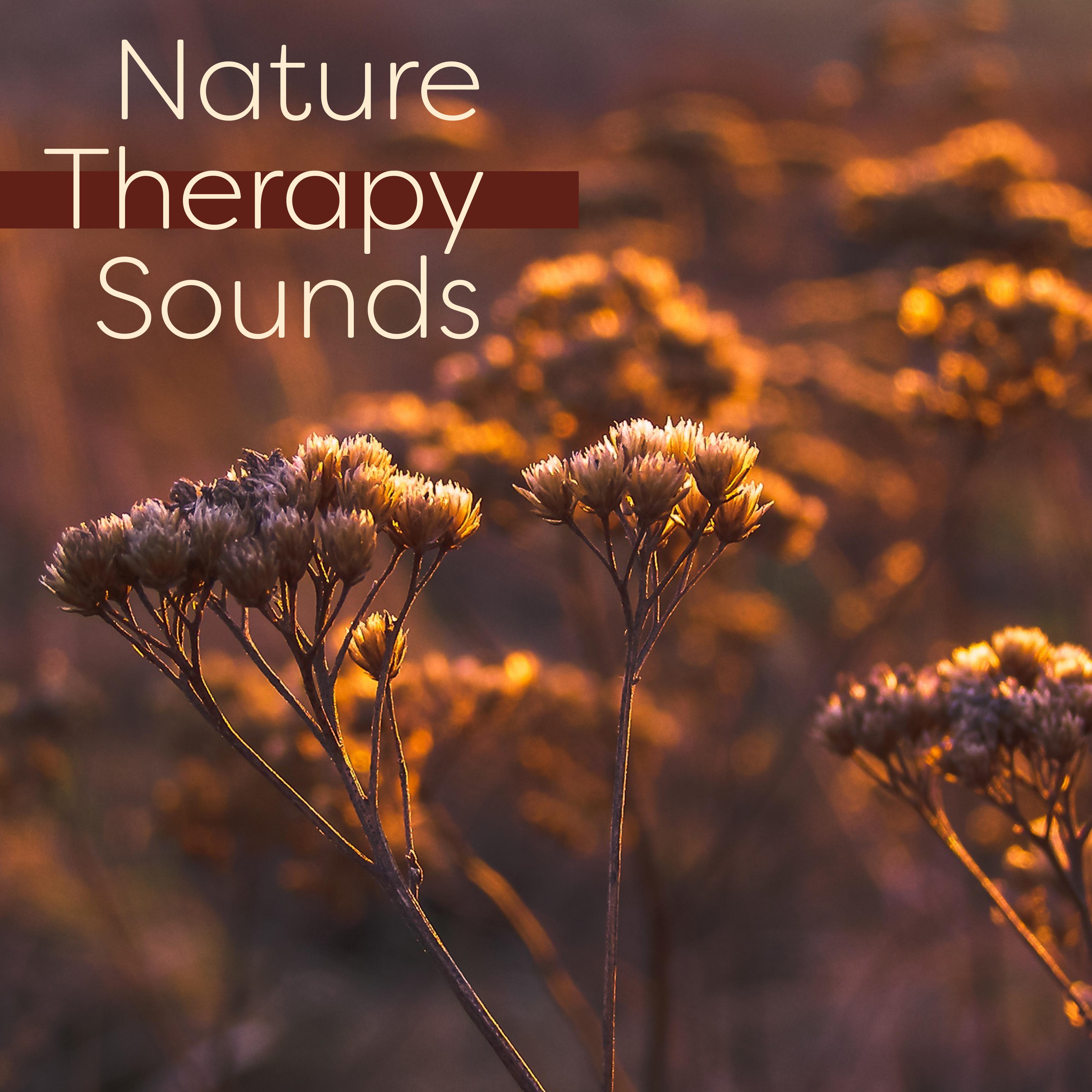 Nature Therapy Sounds – Music to Rest, Spirit Relaxation, Healing Waves