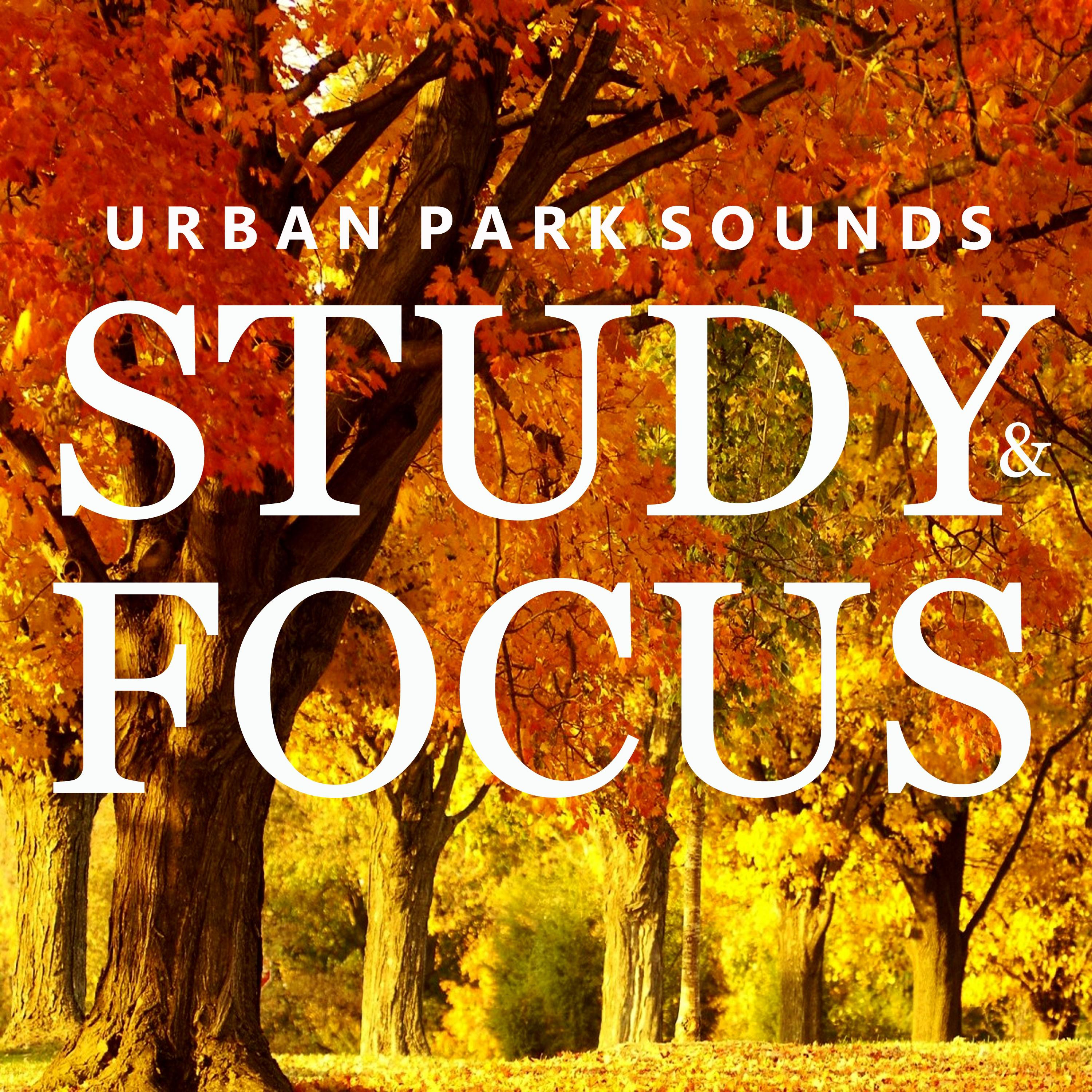 Urban Park Sounds for Studying, Pt. 45
