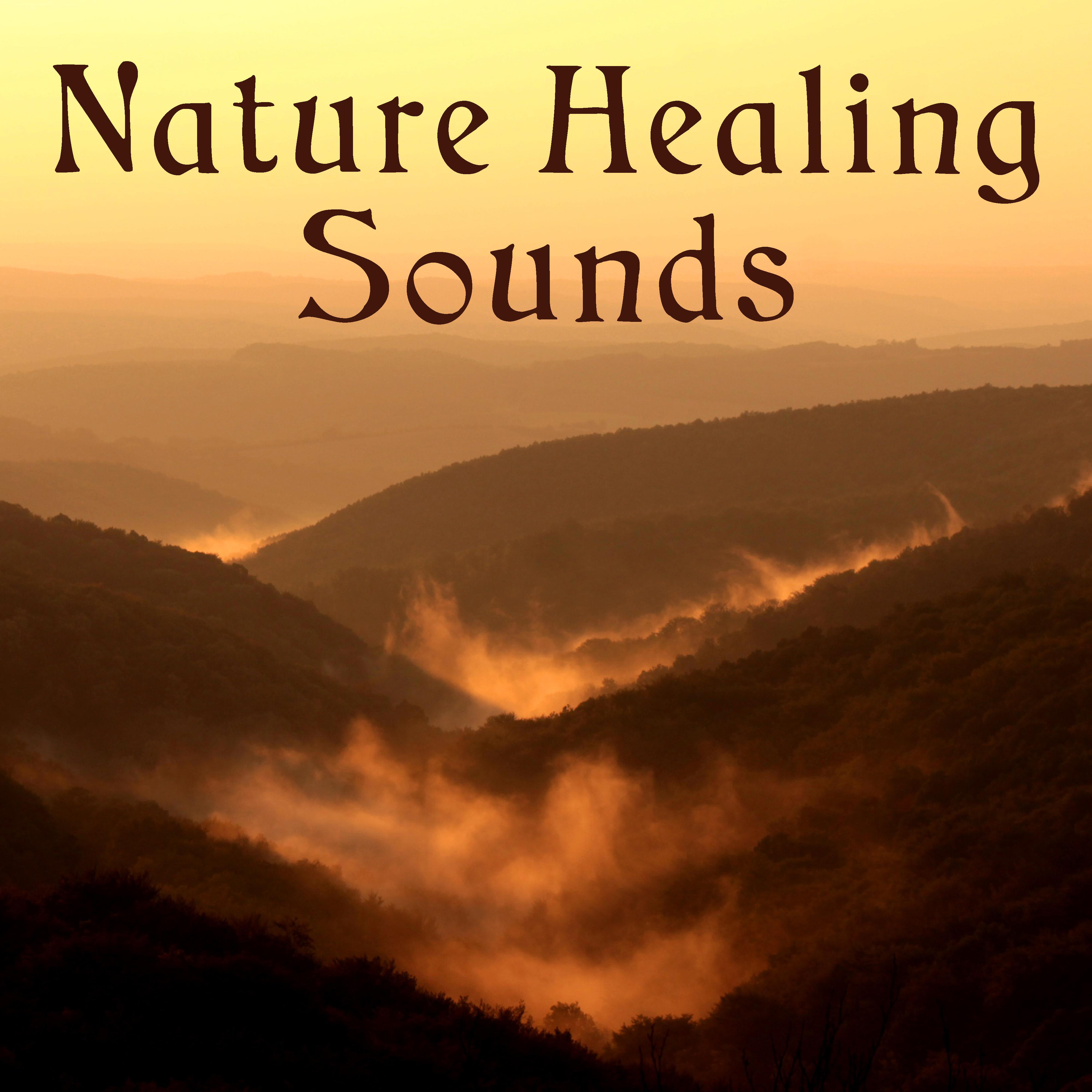 Nature Healing Sounds – Soothing Sounds to Relax, Easy Listening, New Age Rest, Healing Melodies