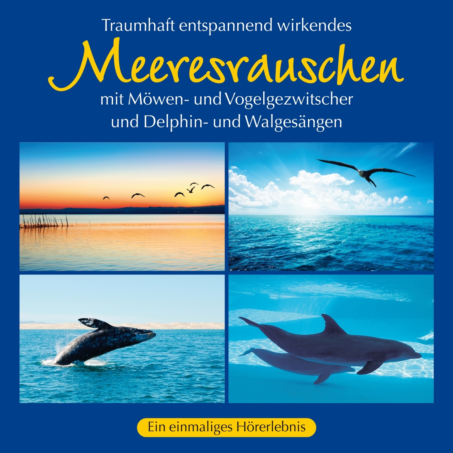 Wohltuendes Meeresrauschen mit traumhaften Delphingesängen , Pt. 1