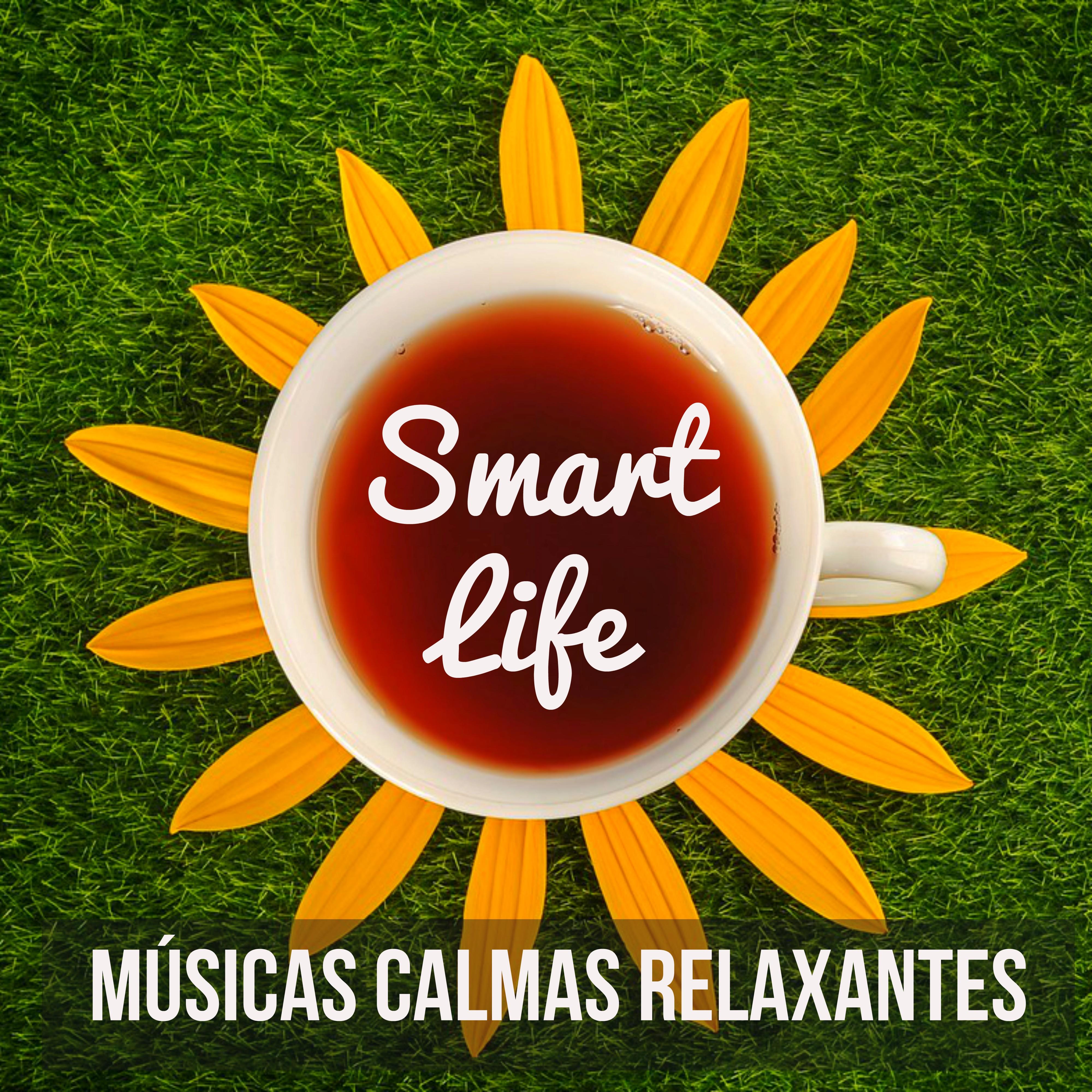 Smart Life - Músicas Calmas Relaxantes para Exercício Mental Aula de Yoga Chakras do Corpo e Tratamento Espiritual