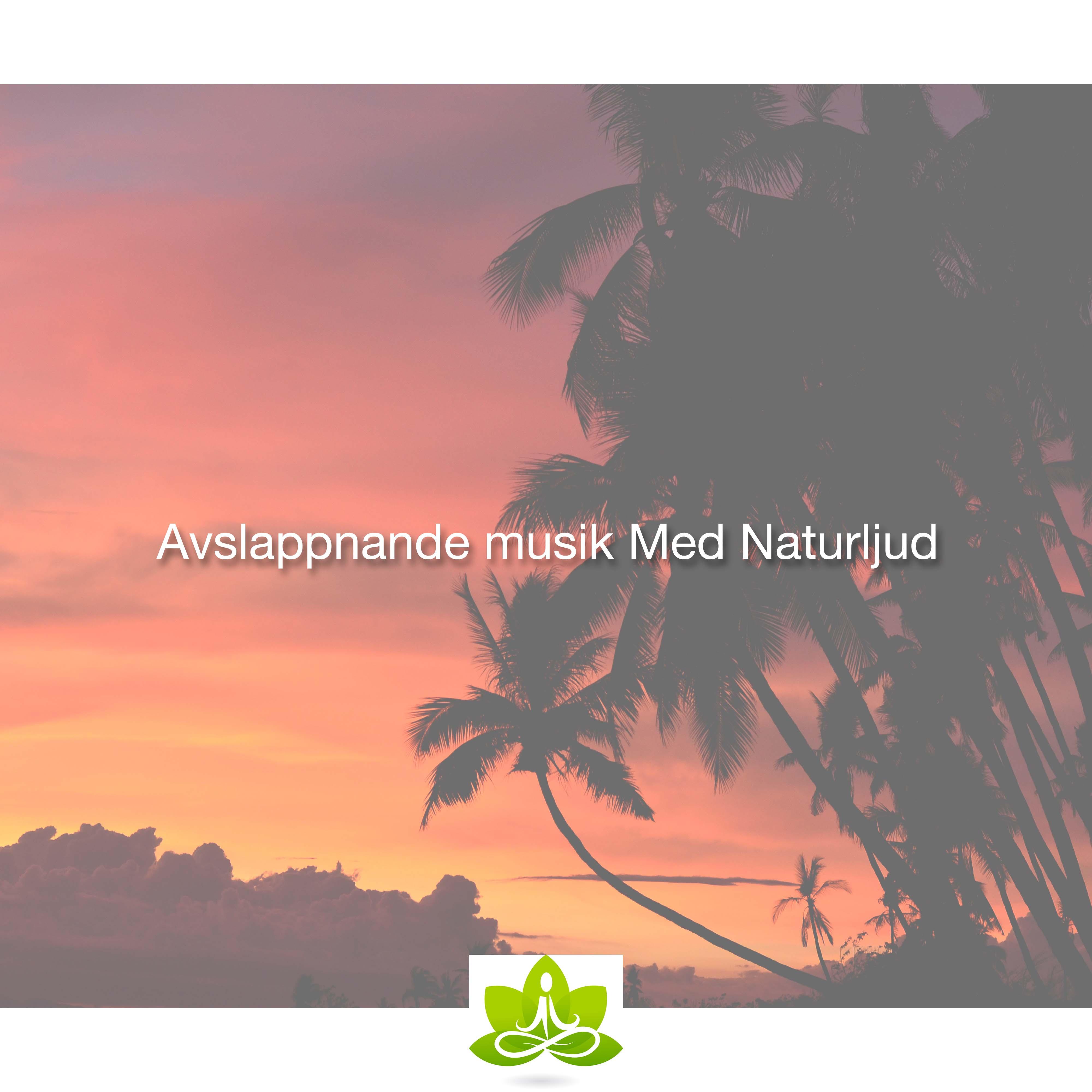 Avslappnande musik Med Naturljud: Bli av med din Huvudvärk