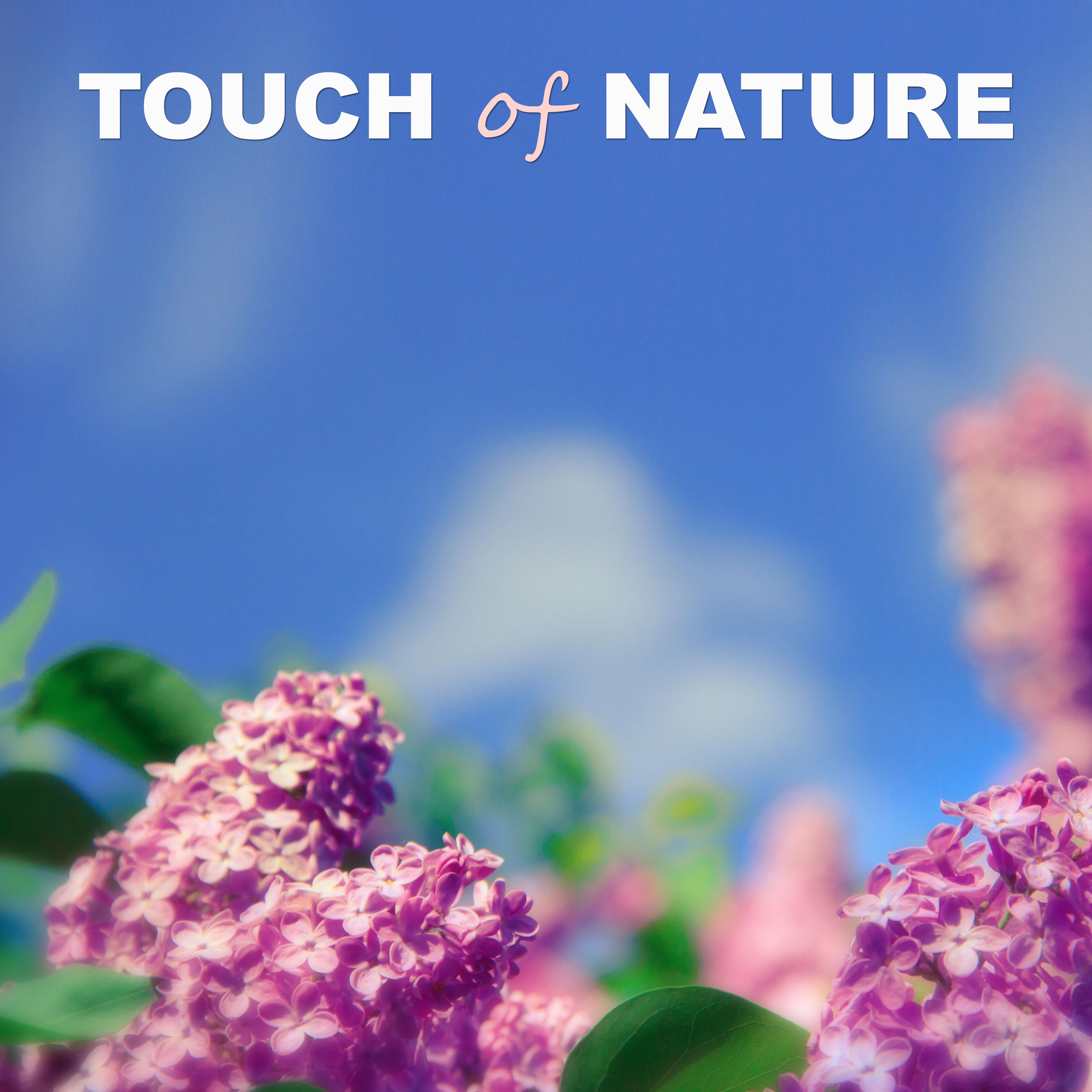 Touch of Nature – Calming Nature Sounds for Relaxation, Meditation, Spa, Wellness, Background Music for Relax, New Age Music