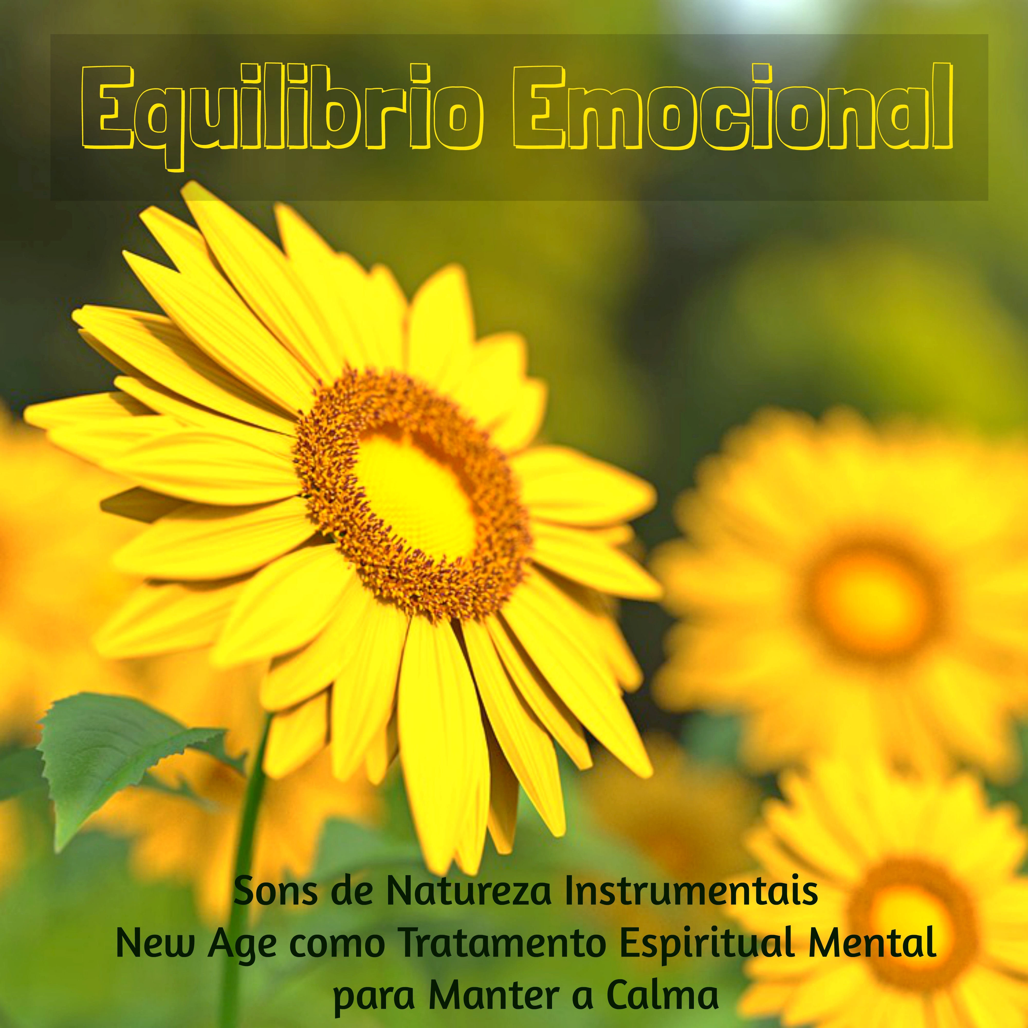 Equilibrio Emocional - Sons de Natureza Instrumentais New Age como Tratamento Espiritual Mental para Manter a Calma, Musicas Relaxantes de Meditação