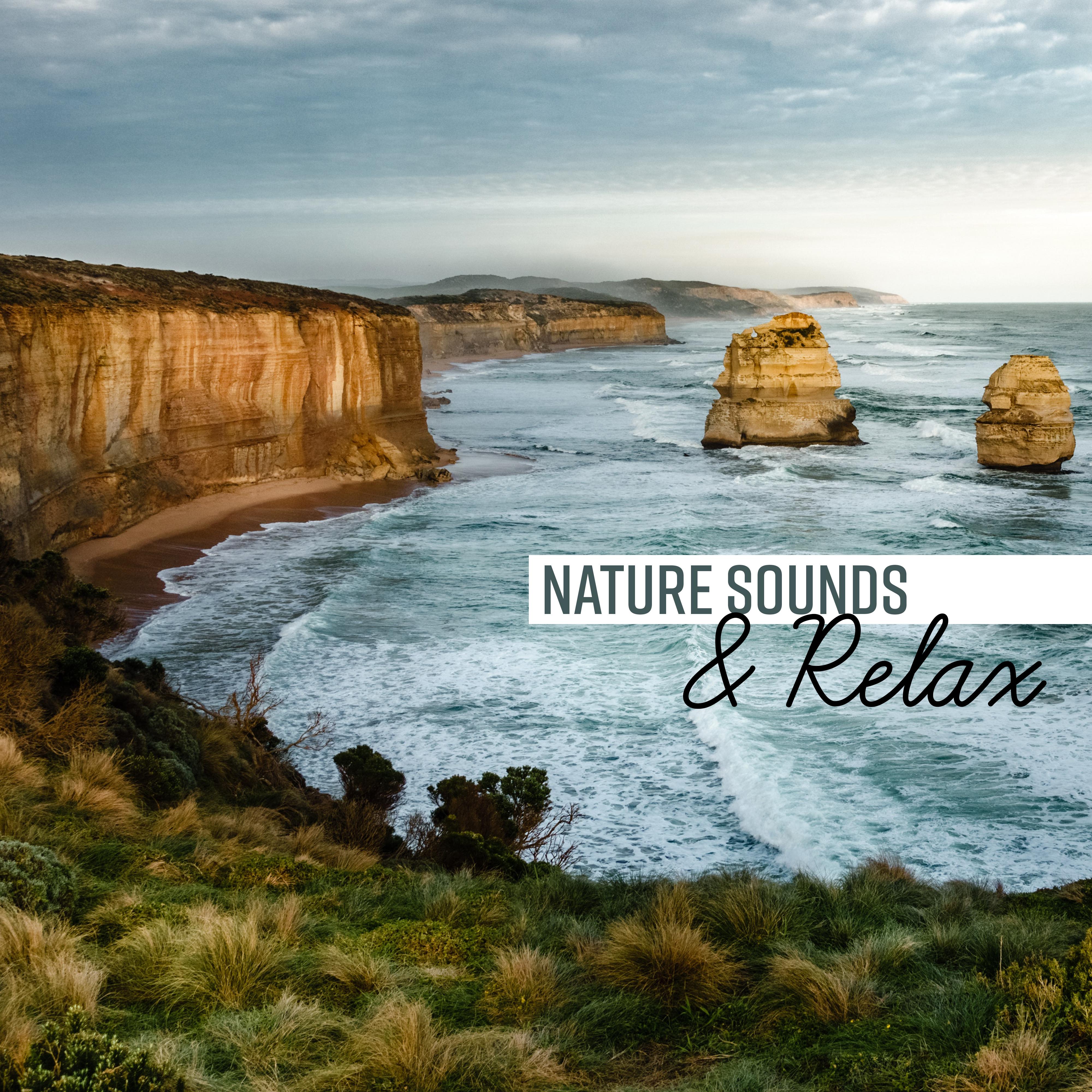 Nature Sounds & Relax
