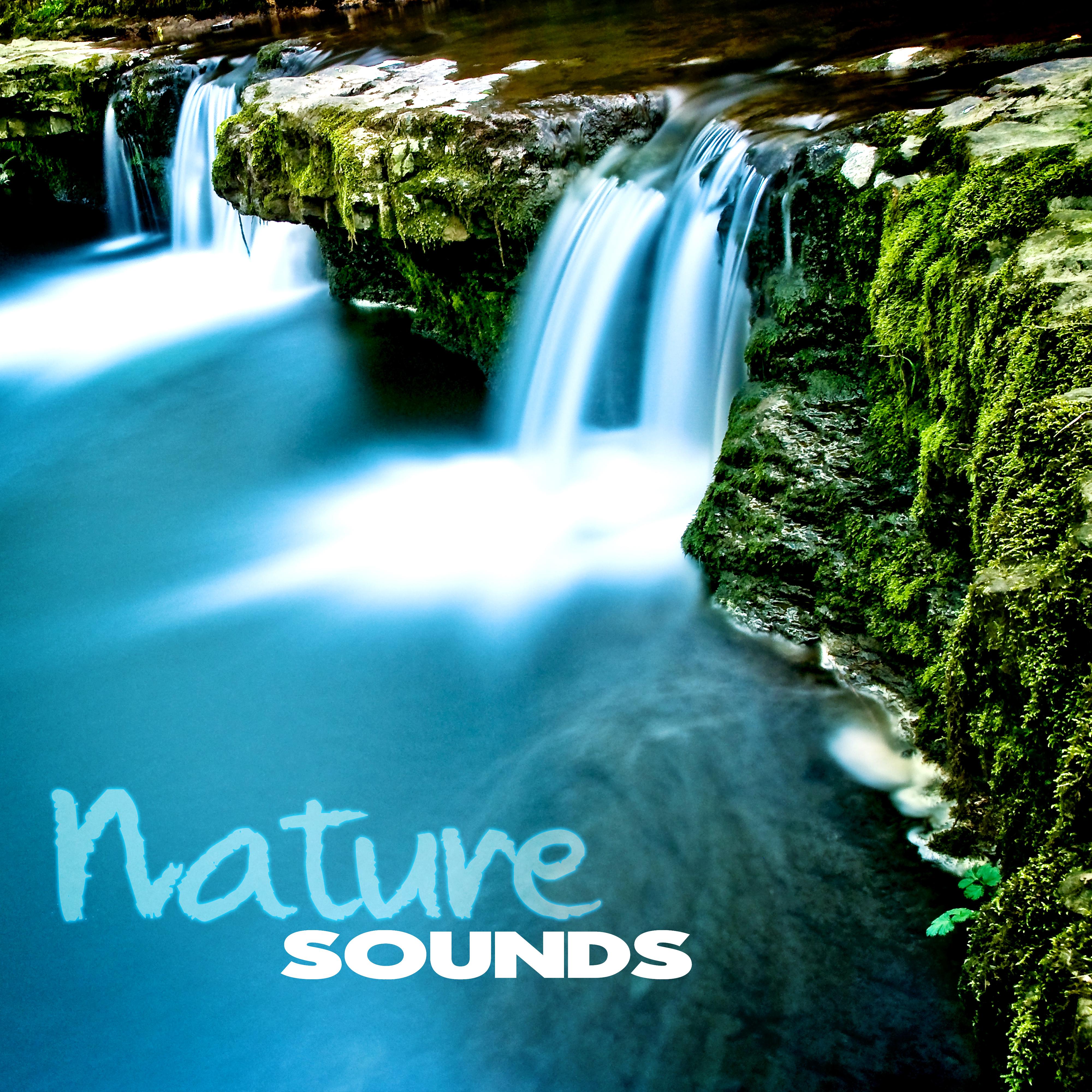 Nature Sounds – Water Sounds for Relaxation, Singing Birds for Spa, Ocean Sounds for Yoga & Meditation, Rain Sounds for Reiki, Wellness, Massage, Asian Zen