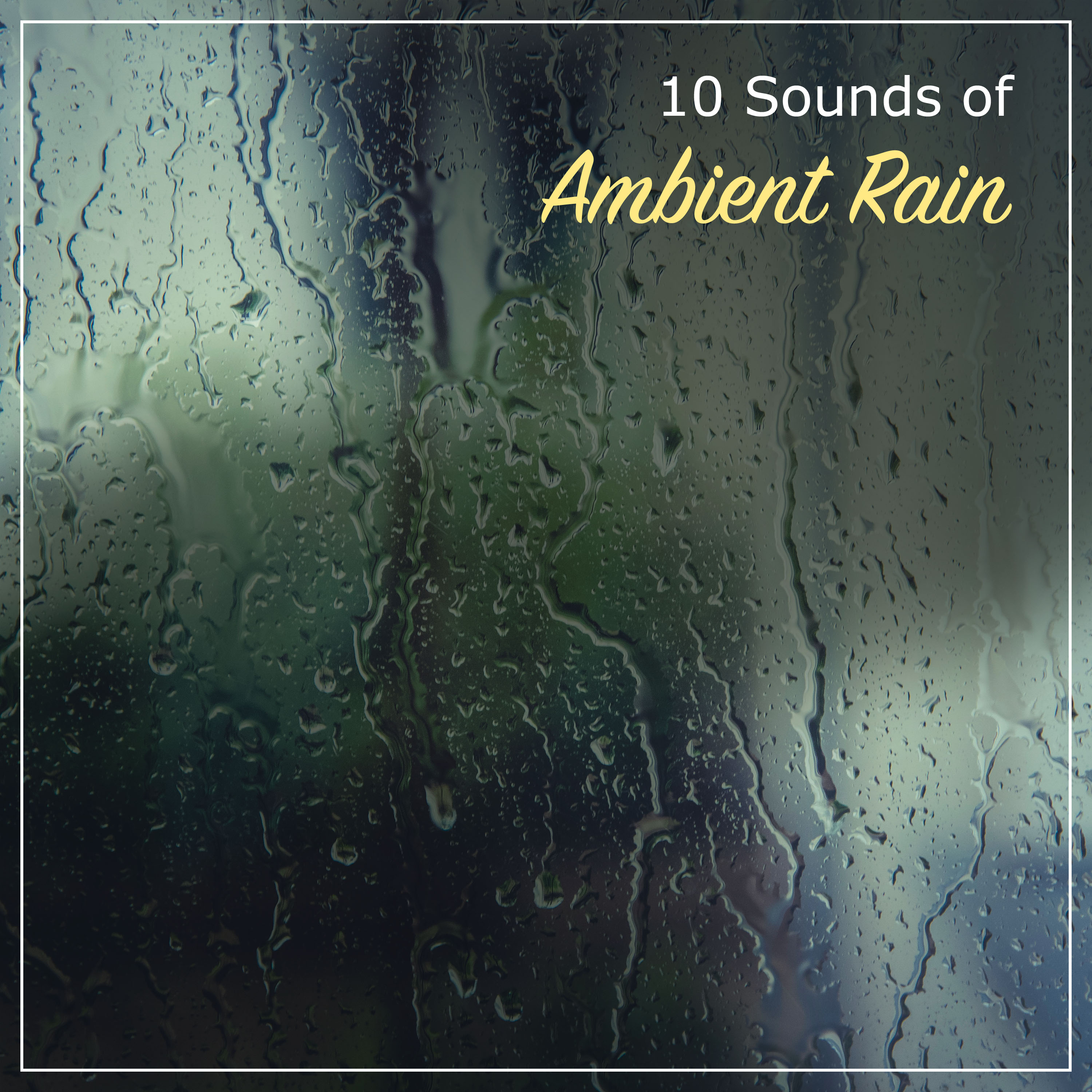 10 Sounds of Ambient Rain