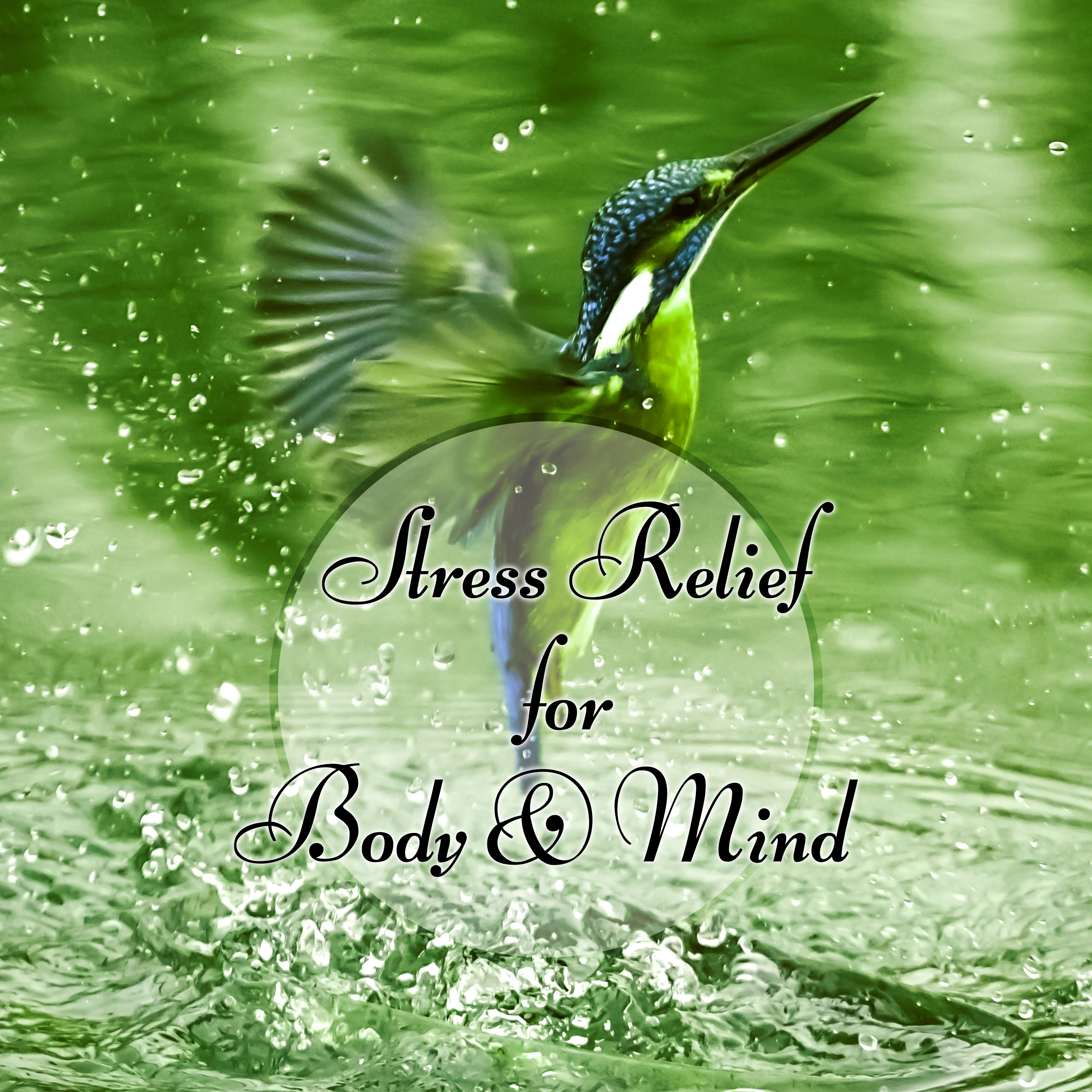Stress Relief for Body & Mind – Gentle Massage Music for Aromatherapy, Background Music for Inner Peace
