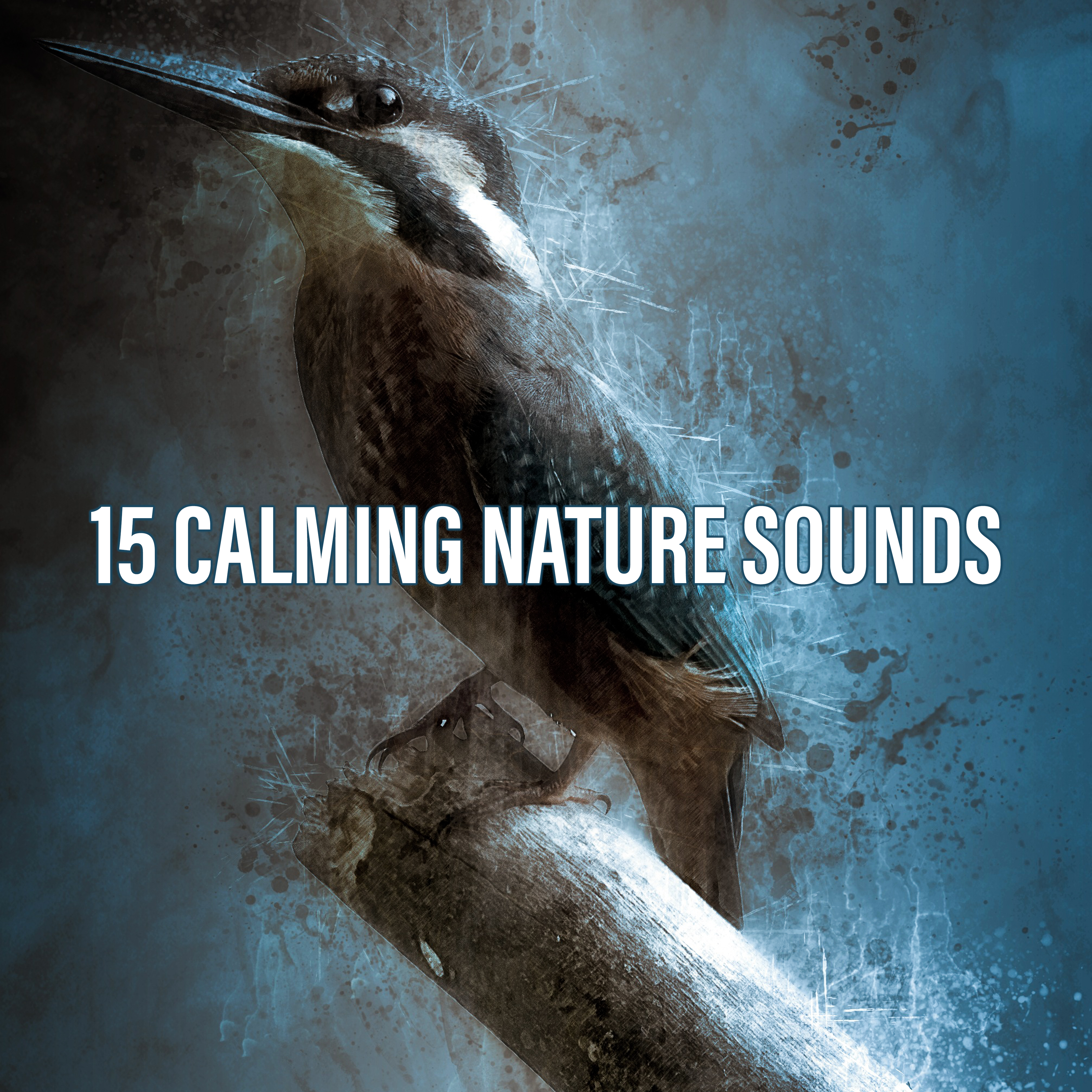 15 Calming Nature Sounds