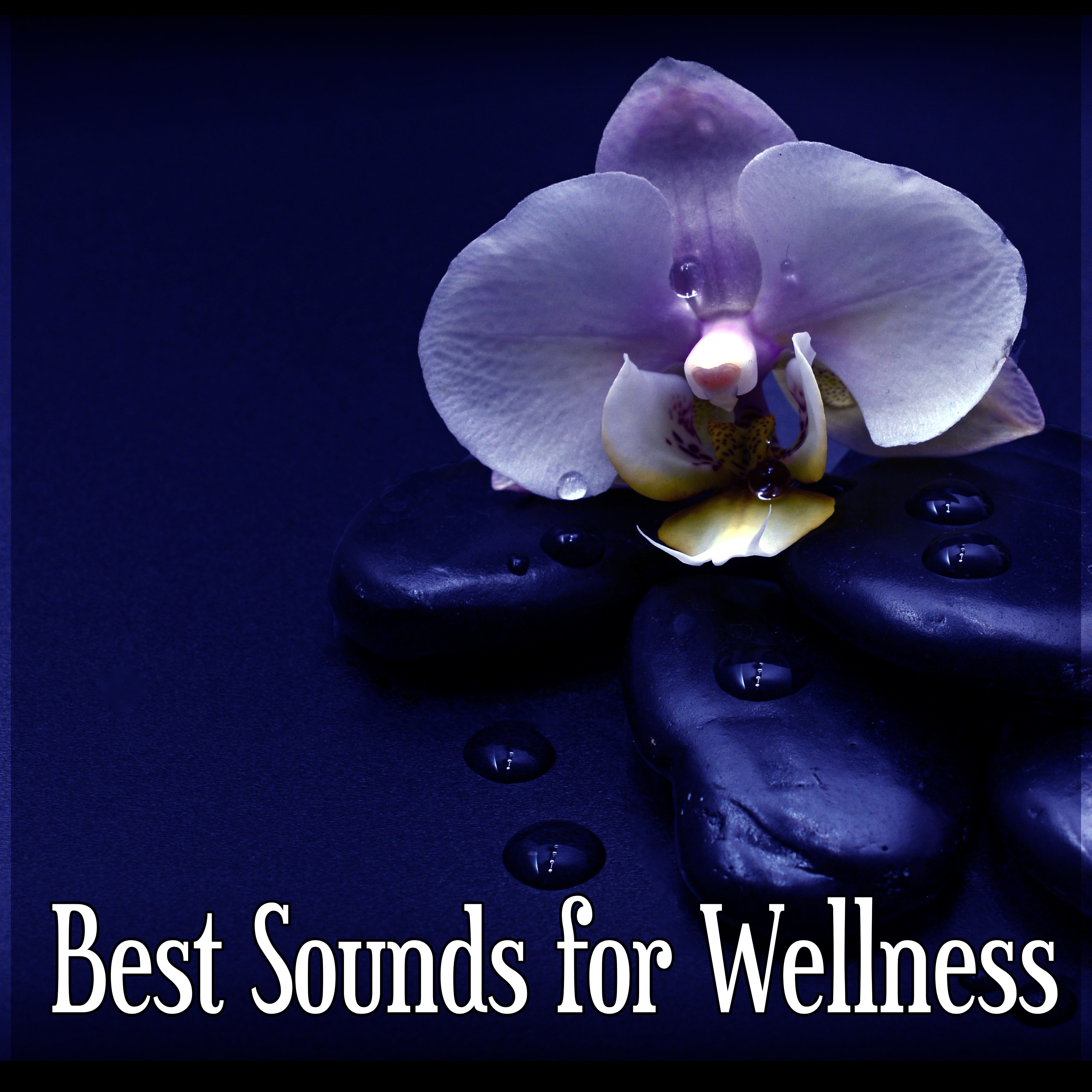 Best Sounds for Wellness – Calm Music for Meditation, Deep Sounds for Concentration, Psyhical Therapy, Natural White Noise, Sounds of Nature, Sensual Massage