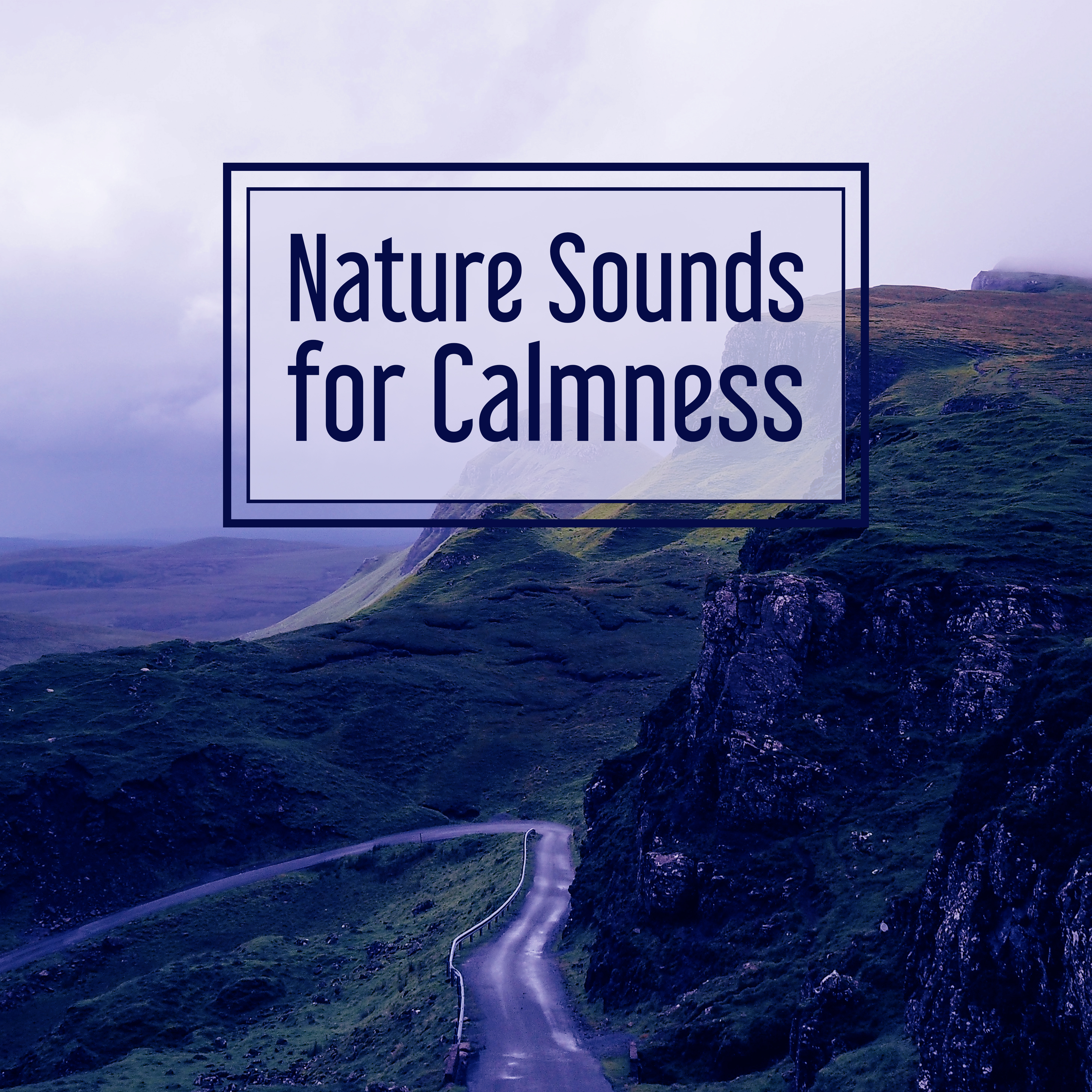 Nature Sounds for Calmness – Music for Relaxation, Soothing Rain, Pure Mind, Deep Sleep, Peaceful Music, Total Relax