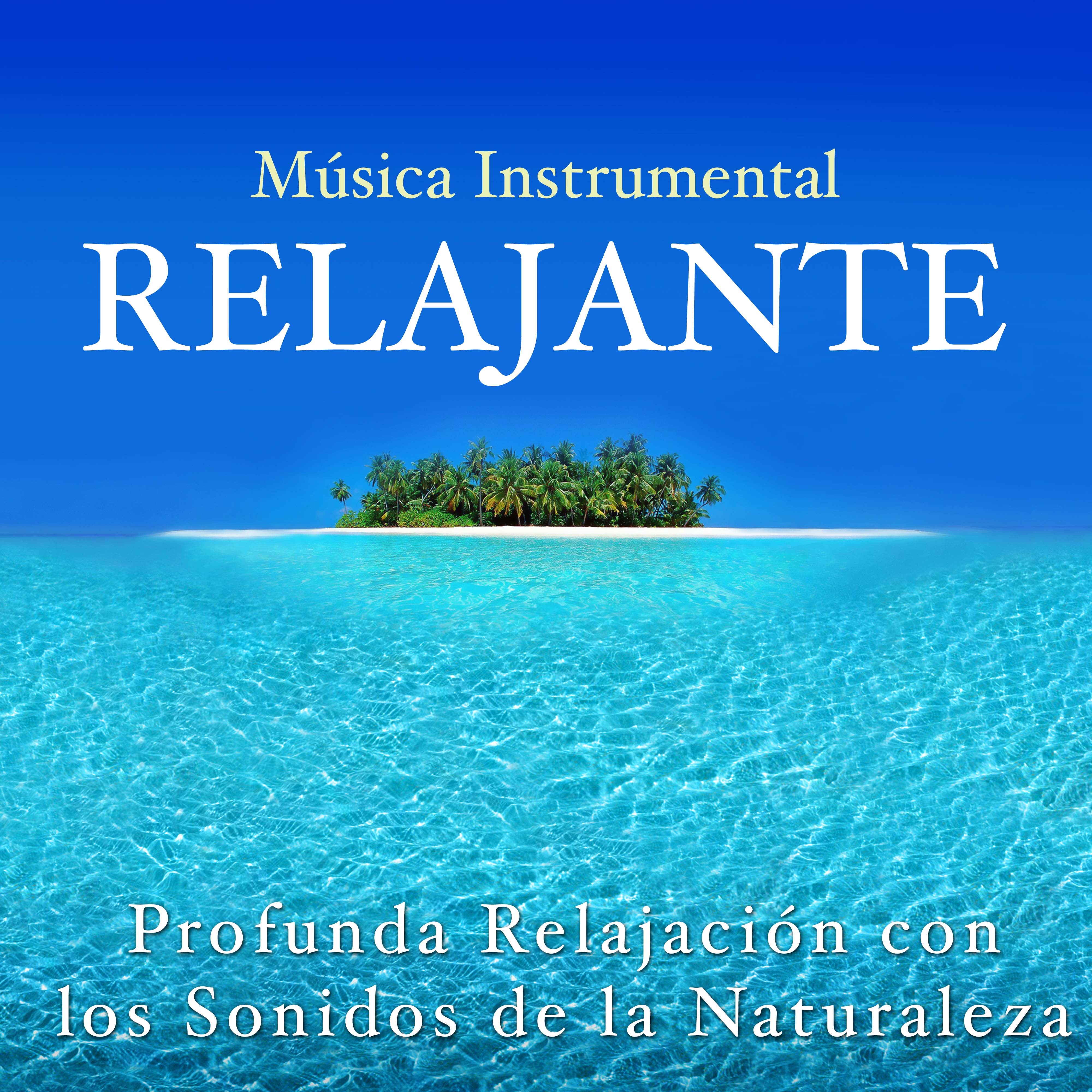 Musica Instrumental Relajante - Profunda Relajación con los Sonidos de la Naturaleza