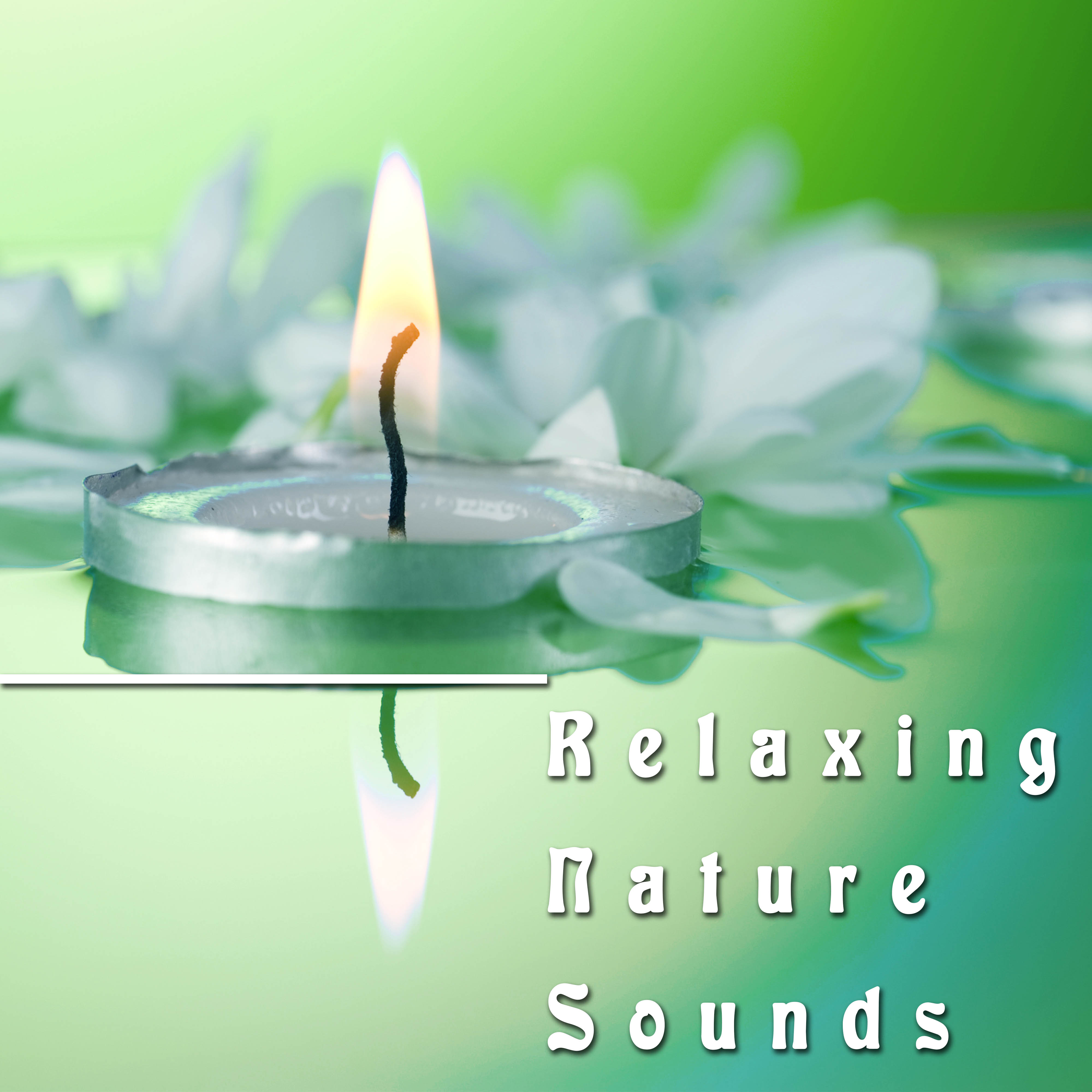 Relaxing Nature Sounds - Listen to the Best Relaxing Sounds