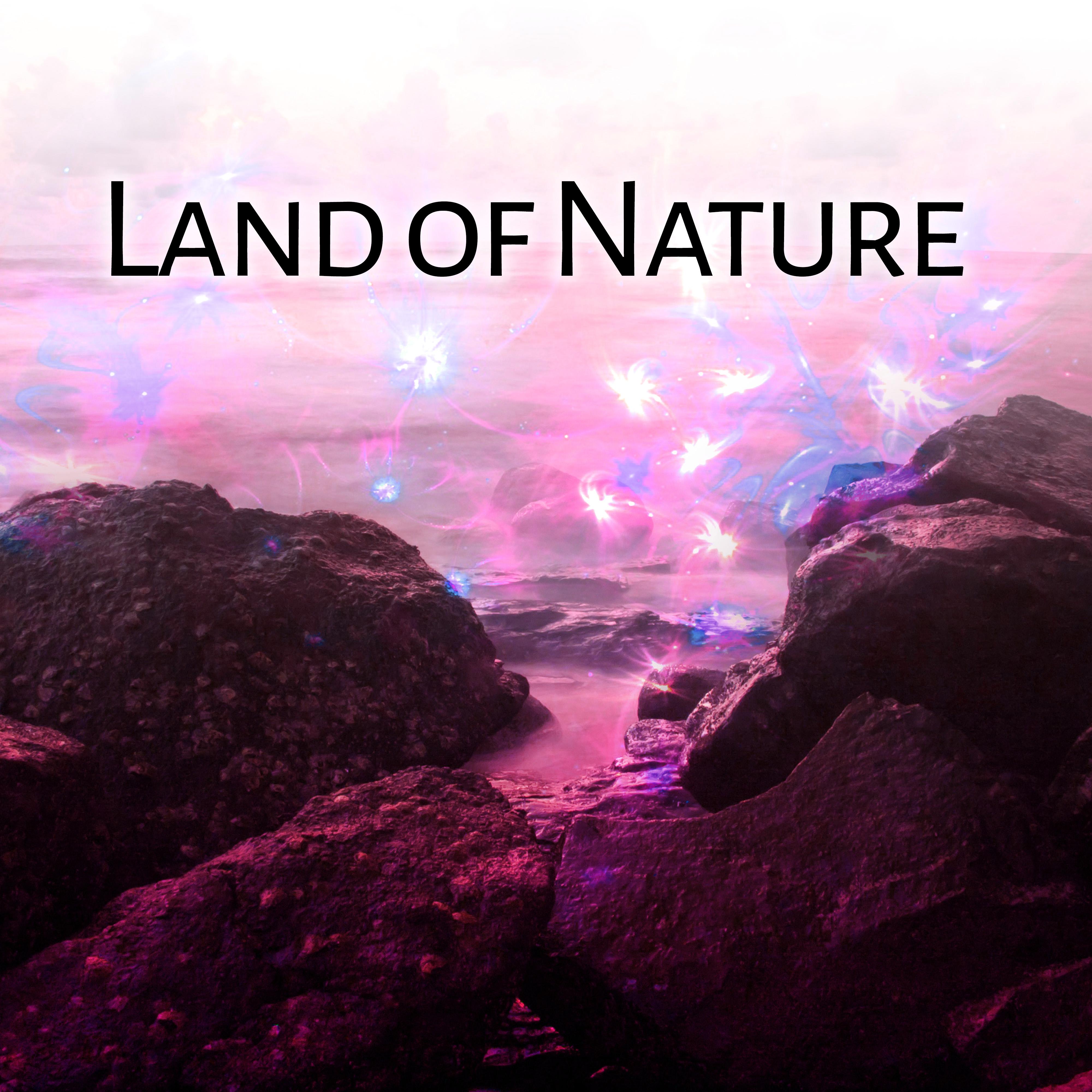 Land of Nature – Singing Birds for Deep Relaxation, Water Sounds, Soft Music, Peaceful Mind, Deep Sleep, Nature Sounds