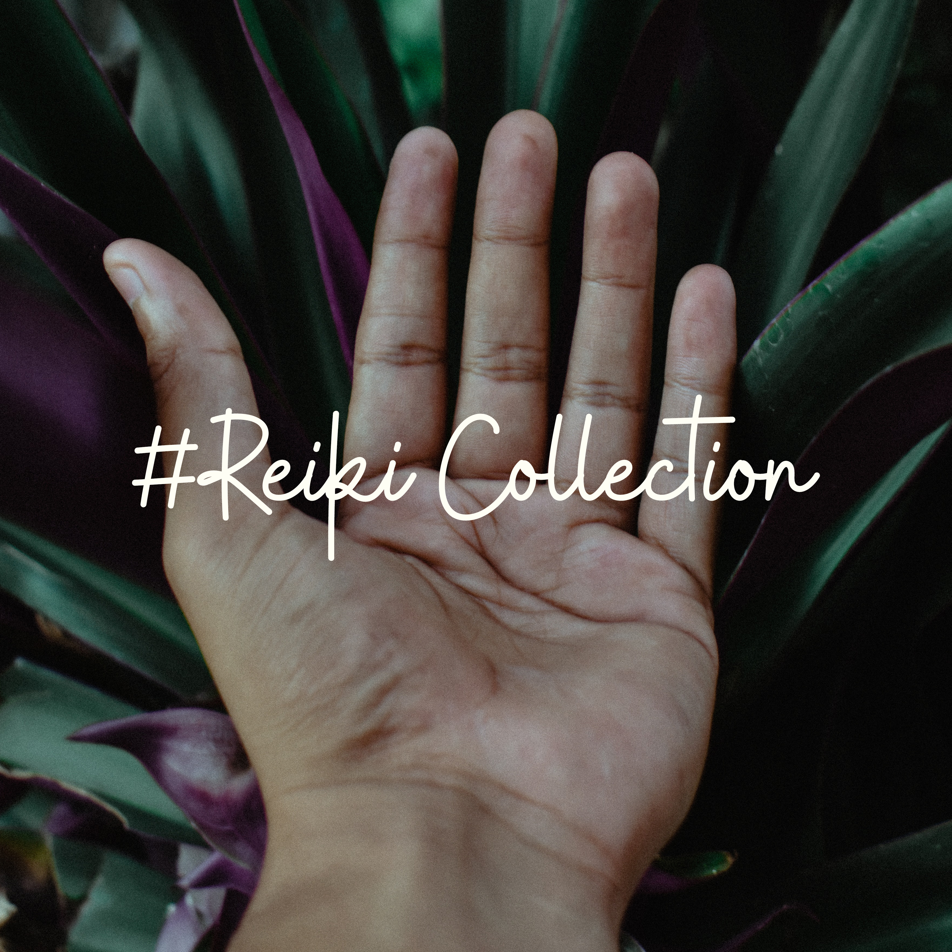 #Reiki Collection