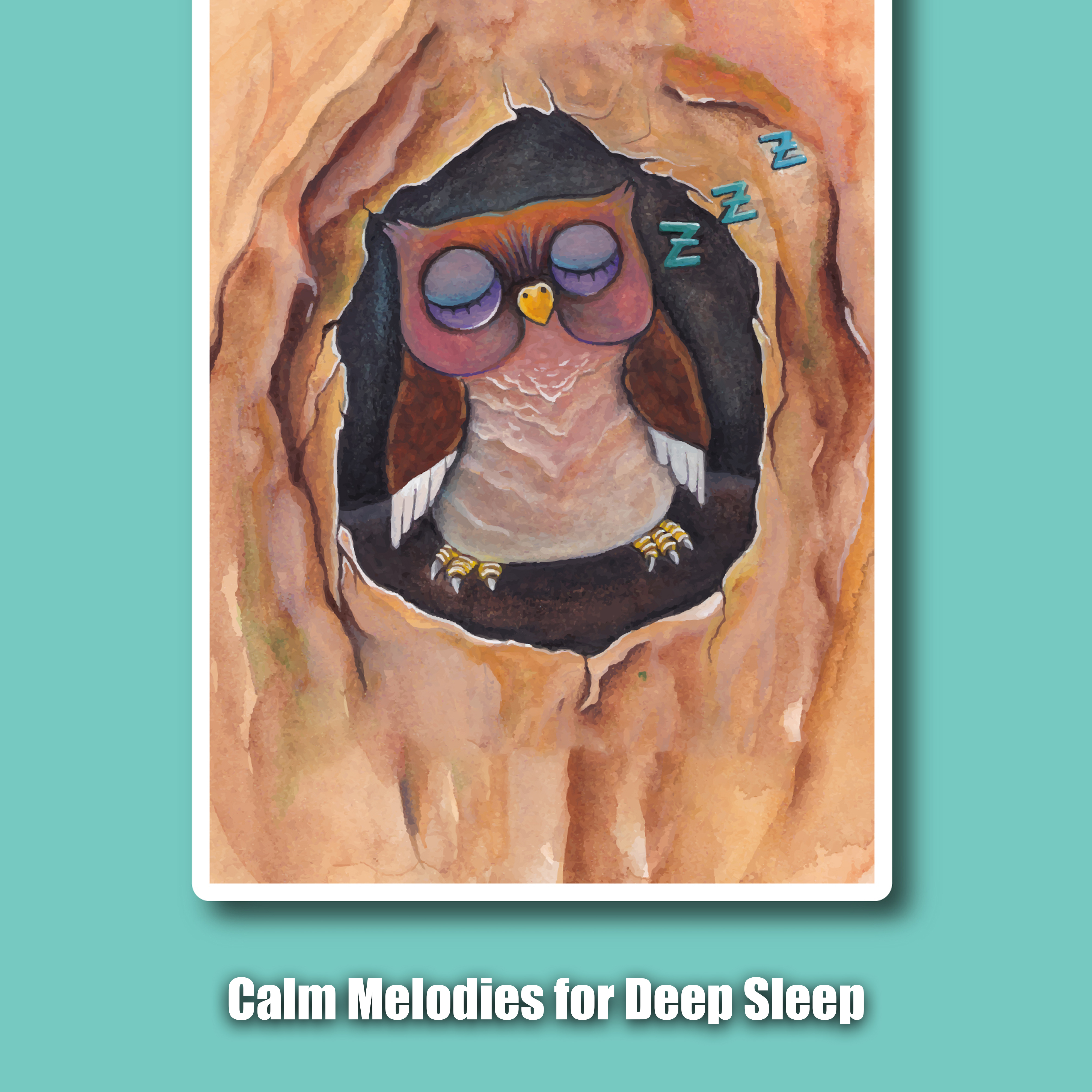 Calm Melodies for Deep Sleep