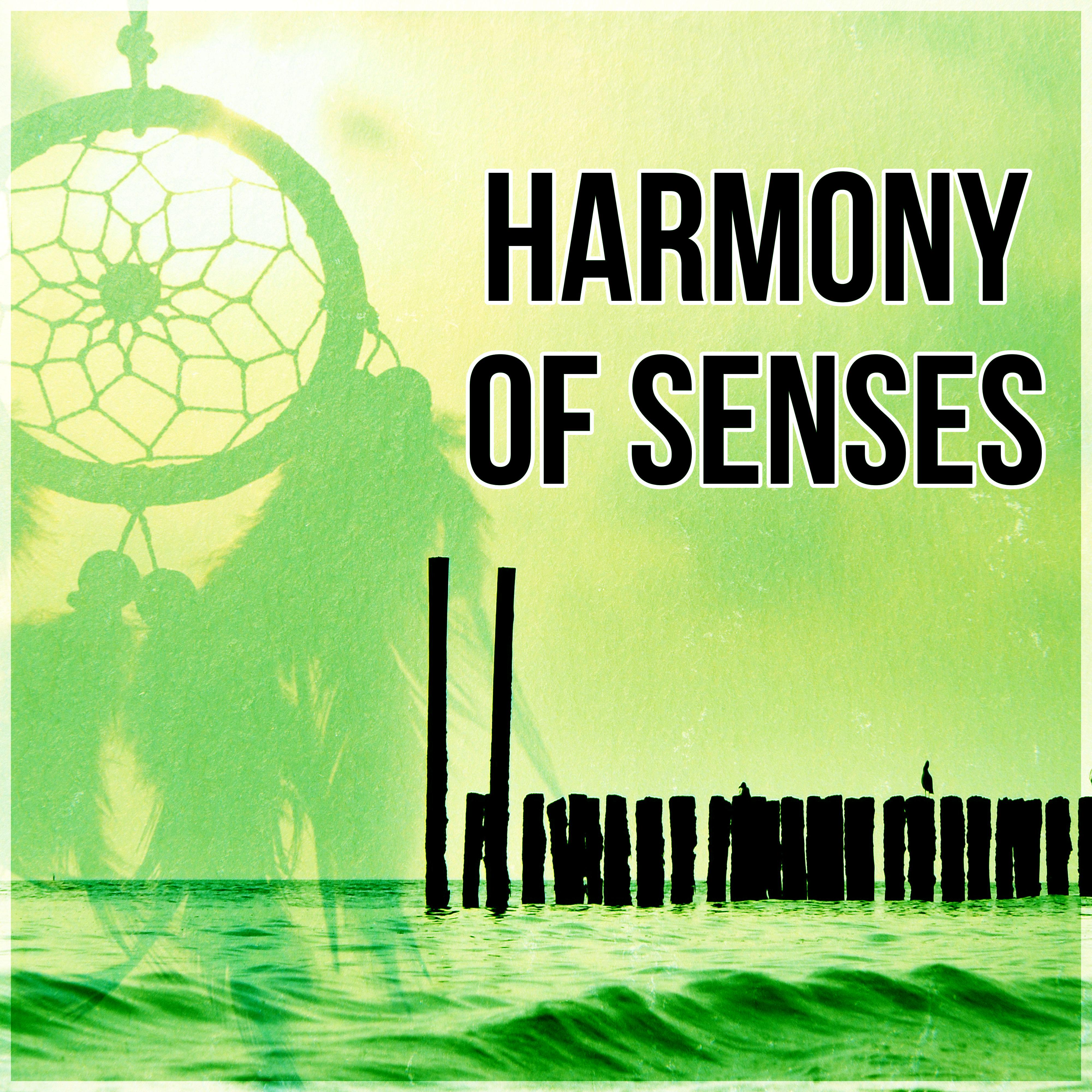 Harmony of Senses - Gentle Music for Restful Sleep, Mind and Body Harmony, Calming Music, Relaxing Background Music