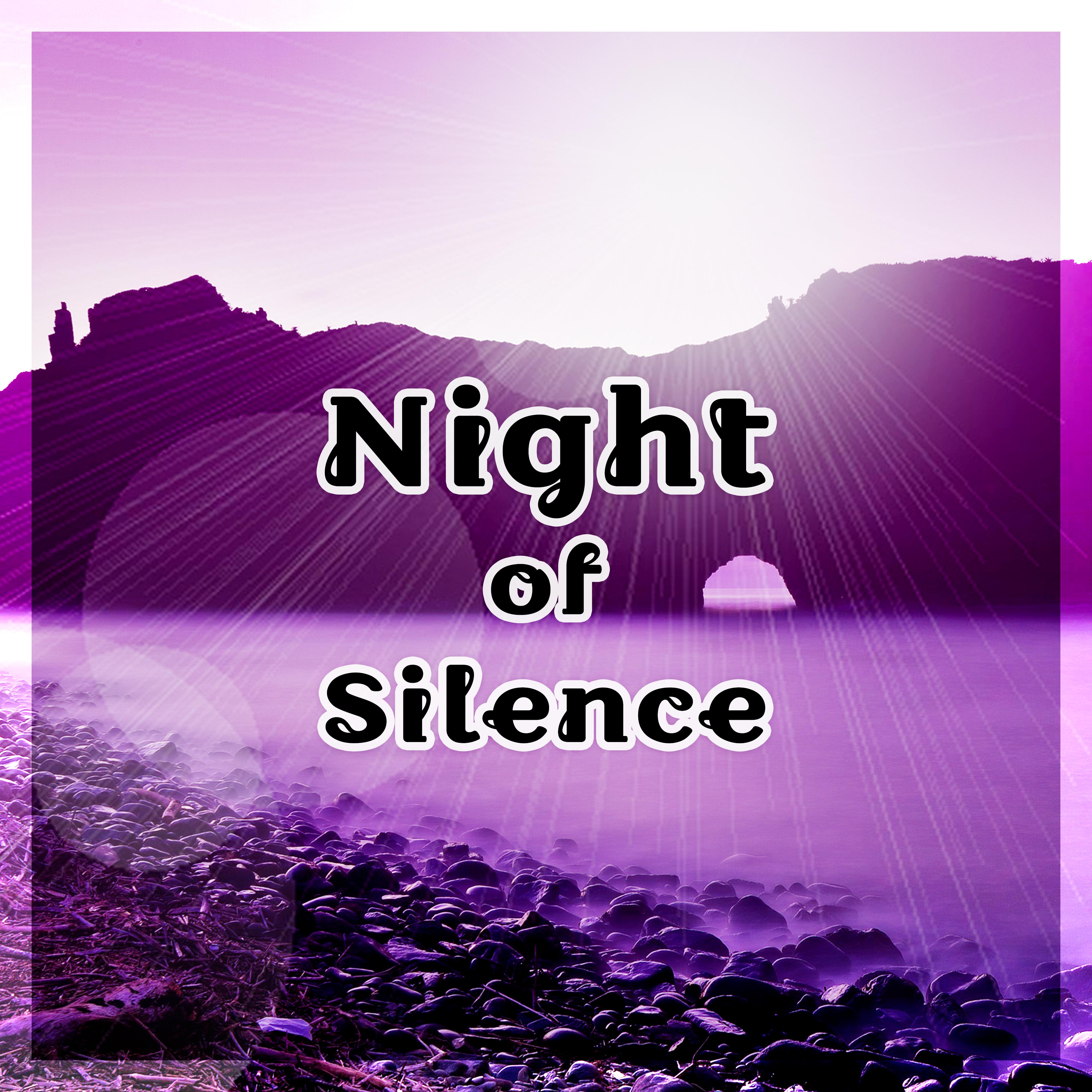 Silence of the Night