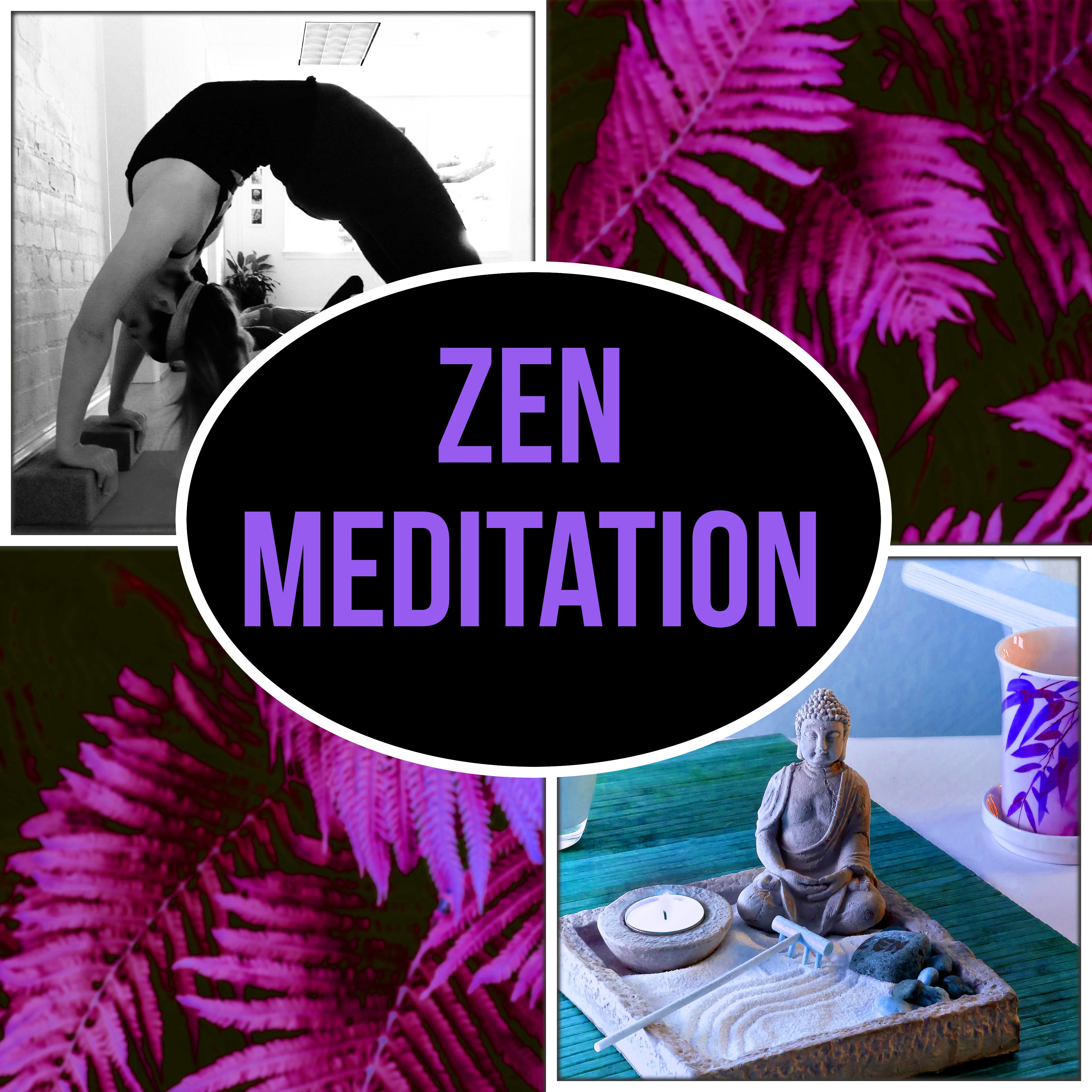 Zen Baby Meditation