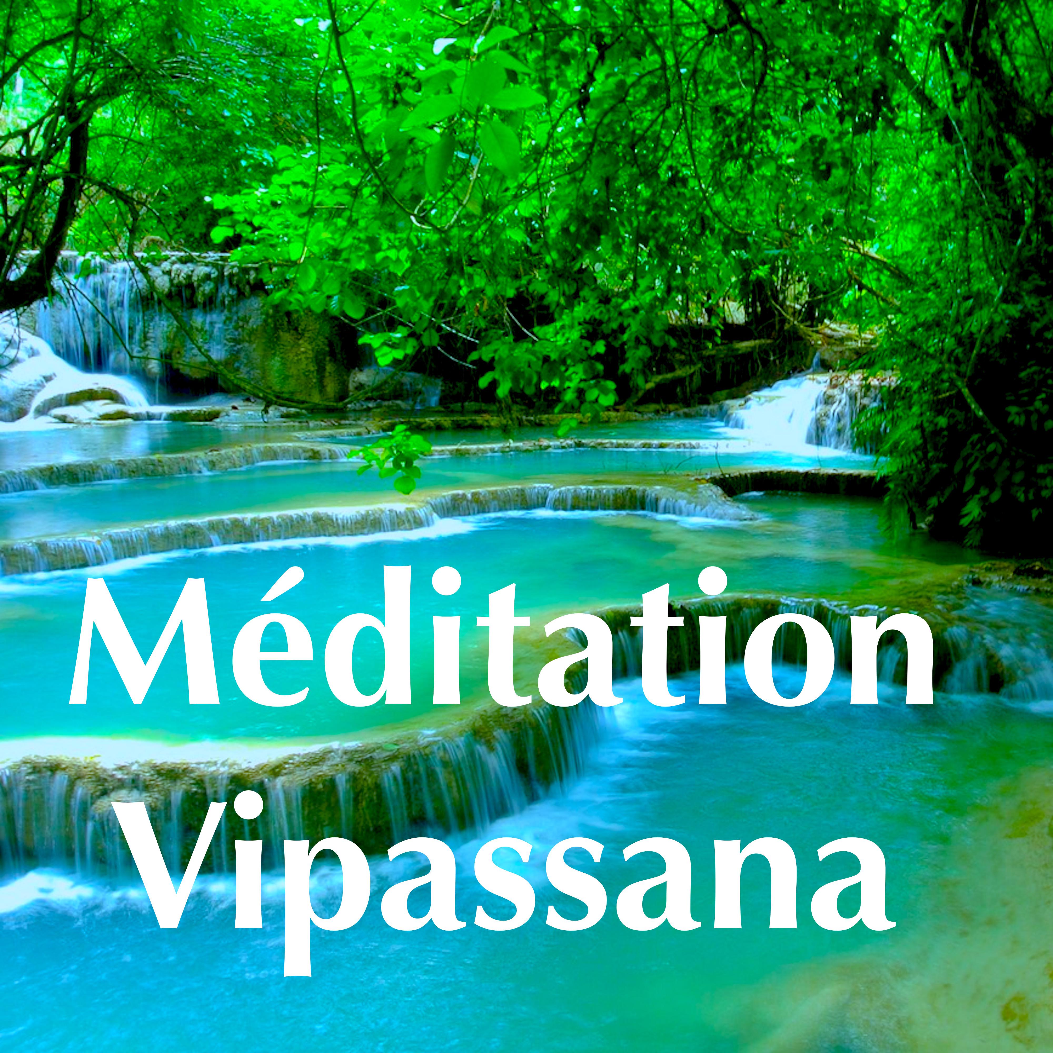 Méditation Vipassana: Nouveauté Musique de Détente pour Méditation Pleine Consciense et Sommeil Paisible