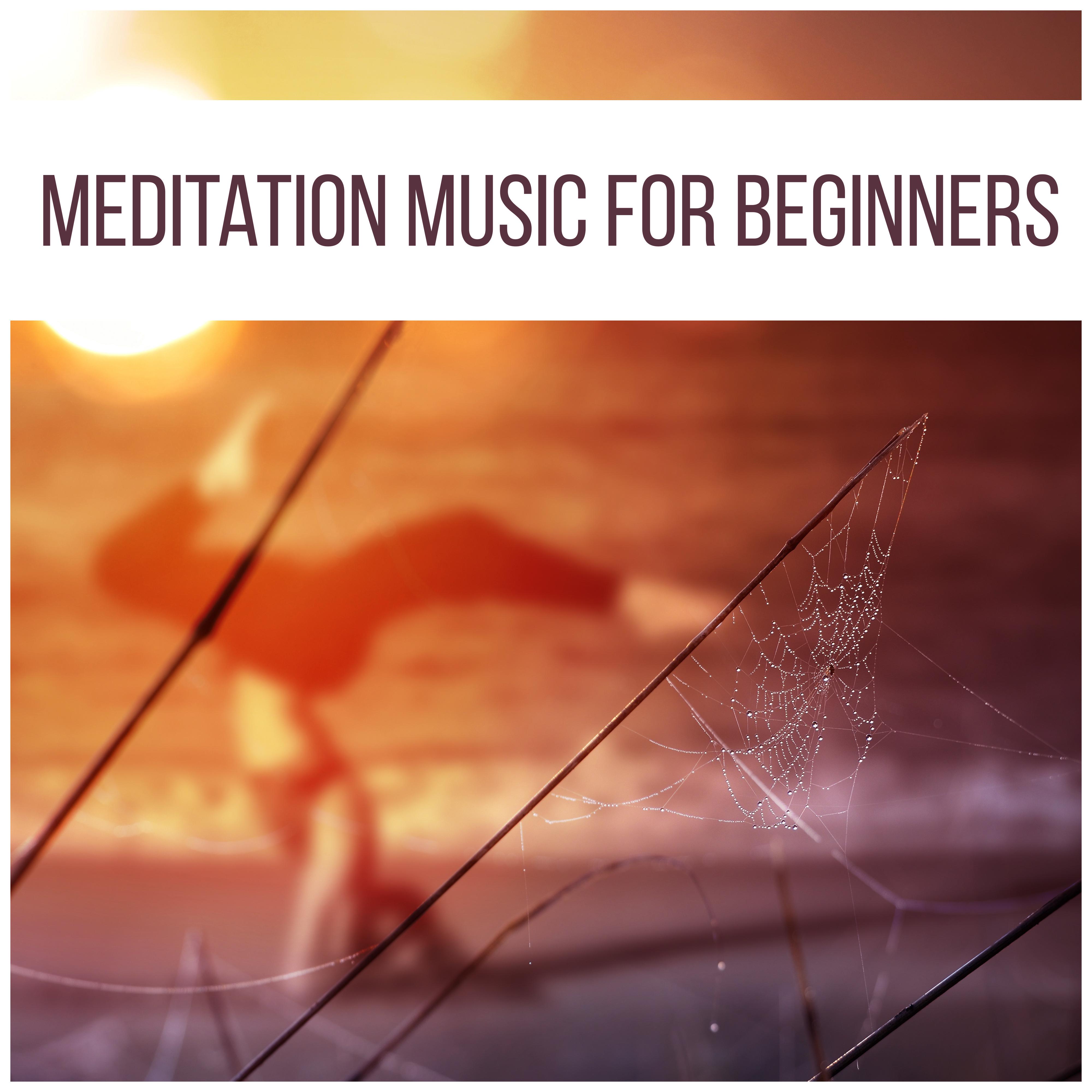 Meditation Music for Beginners – Nature Sounds for Yoga, Minfulness Meditation, Chakra, Zen, Kundalini