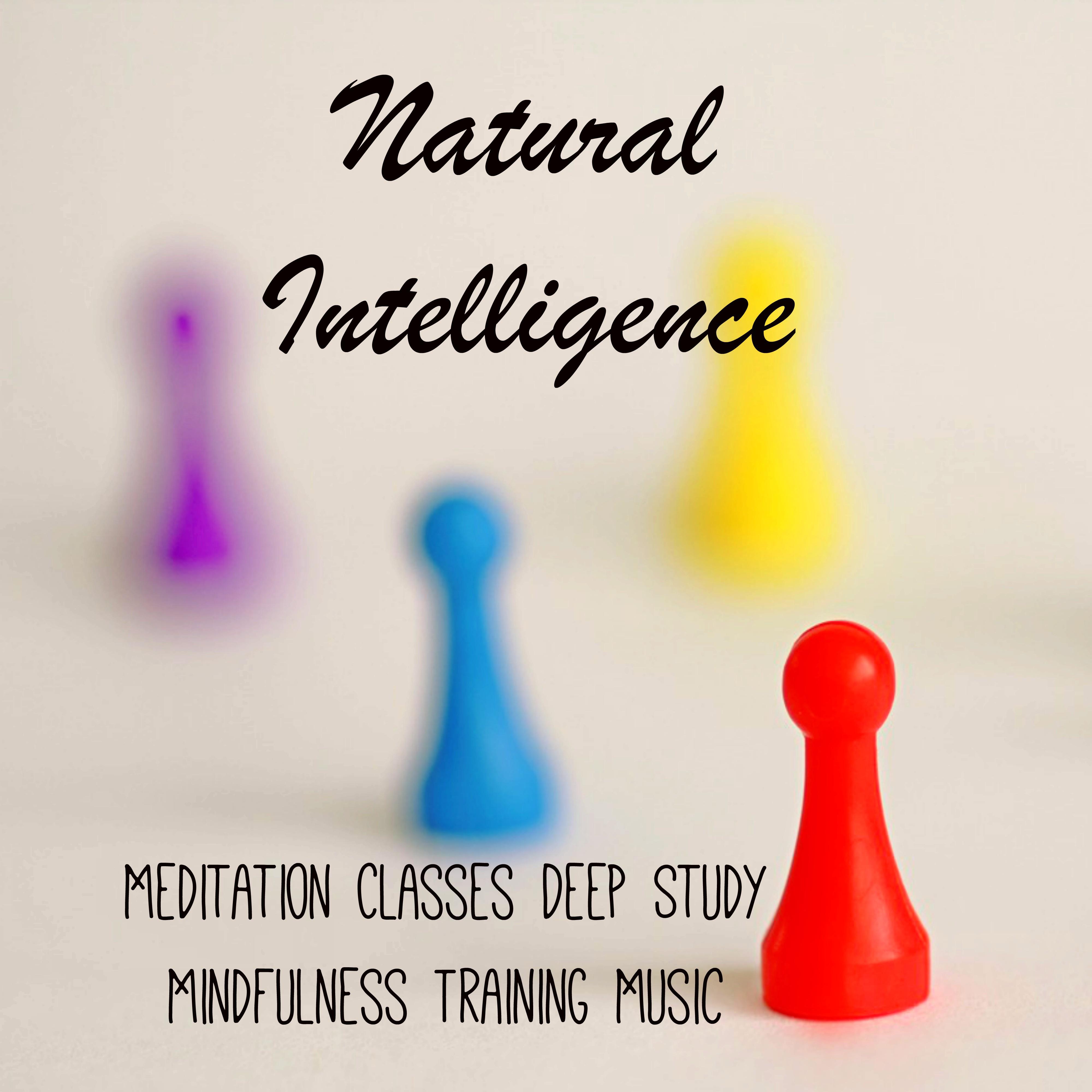 Natural Intelligence - Meditation Classes Mindfulness Training Deep Study Music with Concentration Natural Sleep Sounds