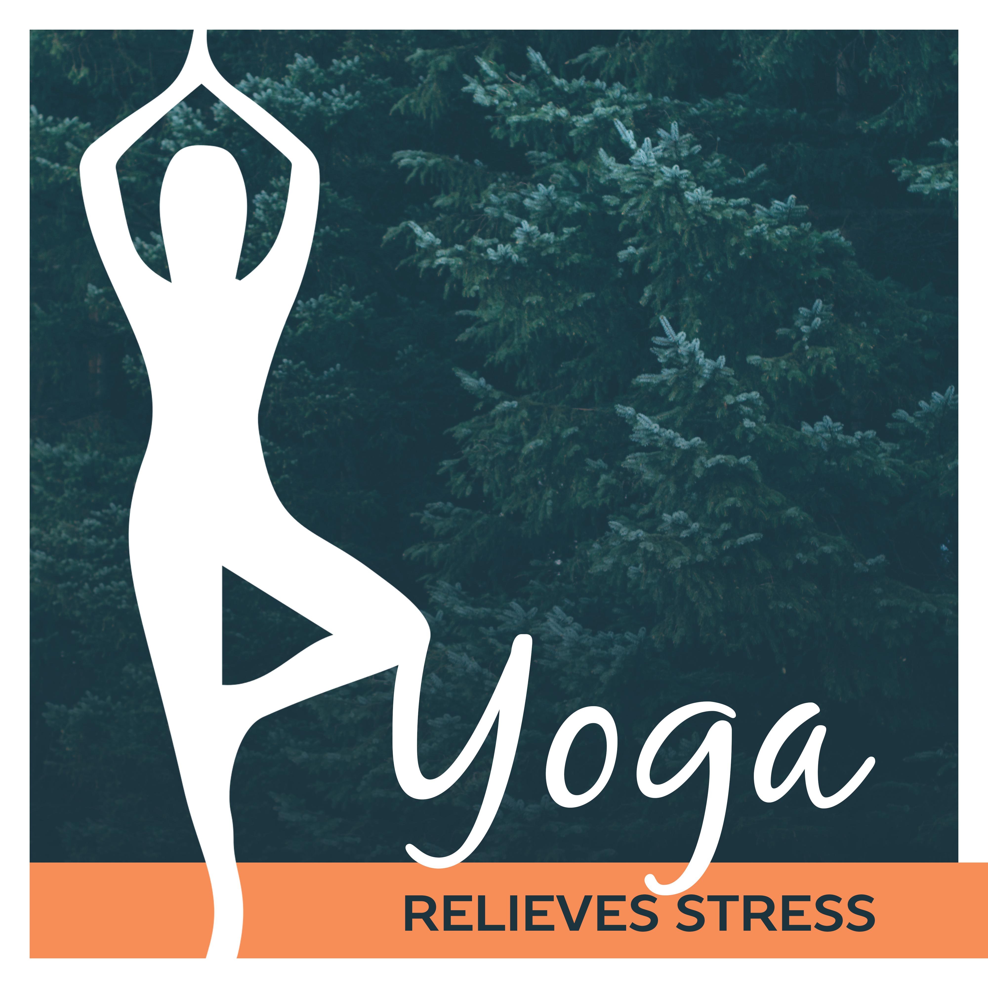 Yoga Relieves Stress – Peaceful Meditation, Deep Concentration, Shades of Chakra, Pure Mind, Relax, Yoga Music, Zen
