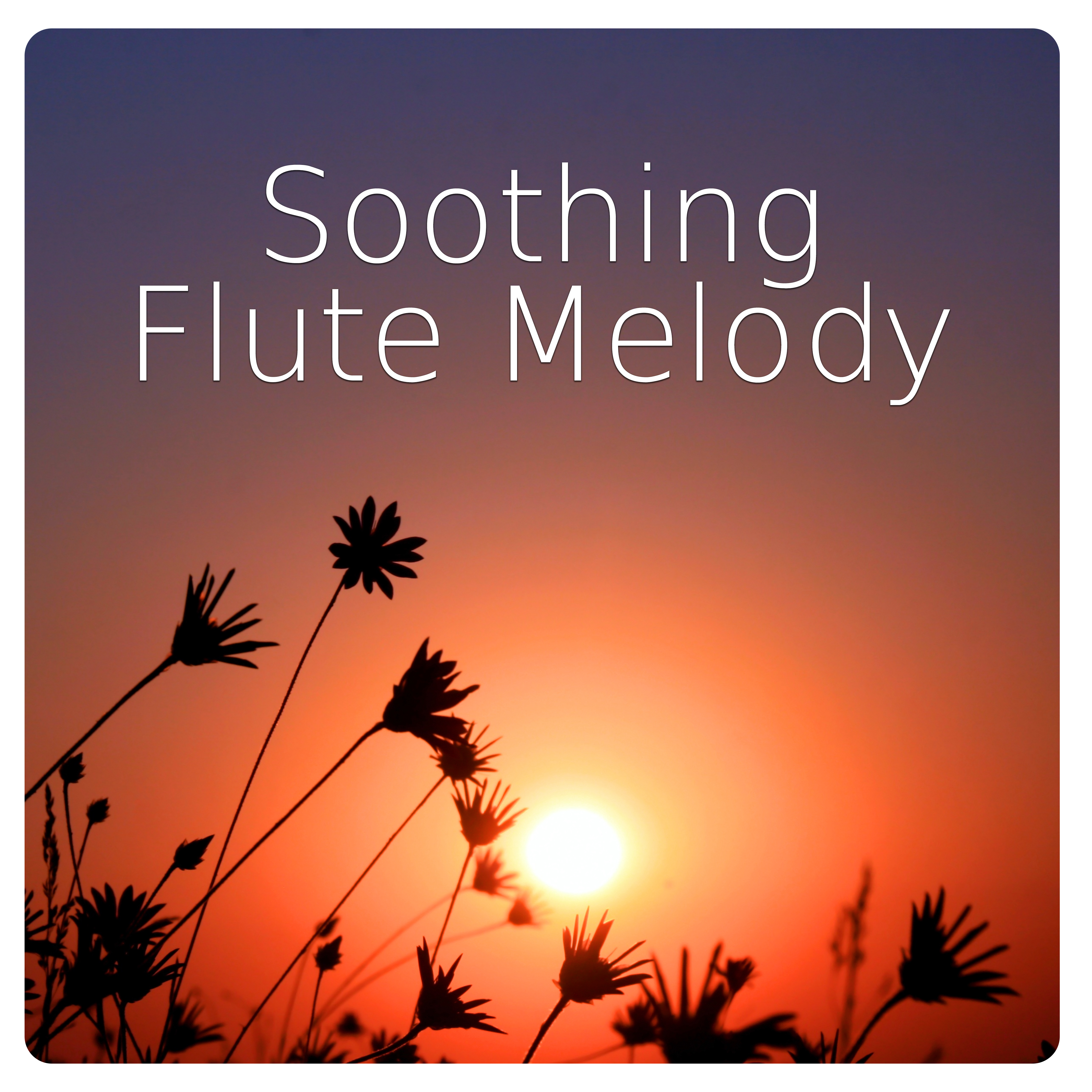 Soothing Flute Melody – Healing Ocean Sound, Native American Flute, Relaxing Sounds of Nature Perfect for Massage, Yoga & SPA, Relax and Feel Inner Power