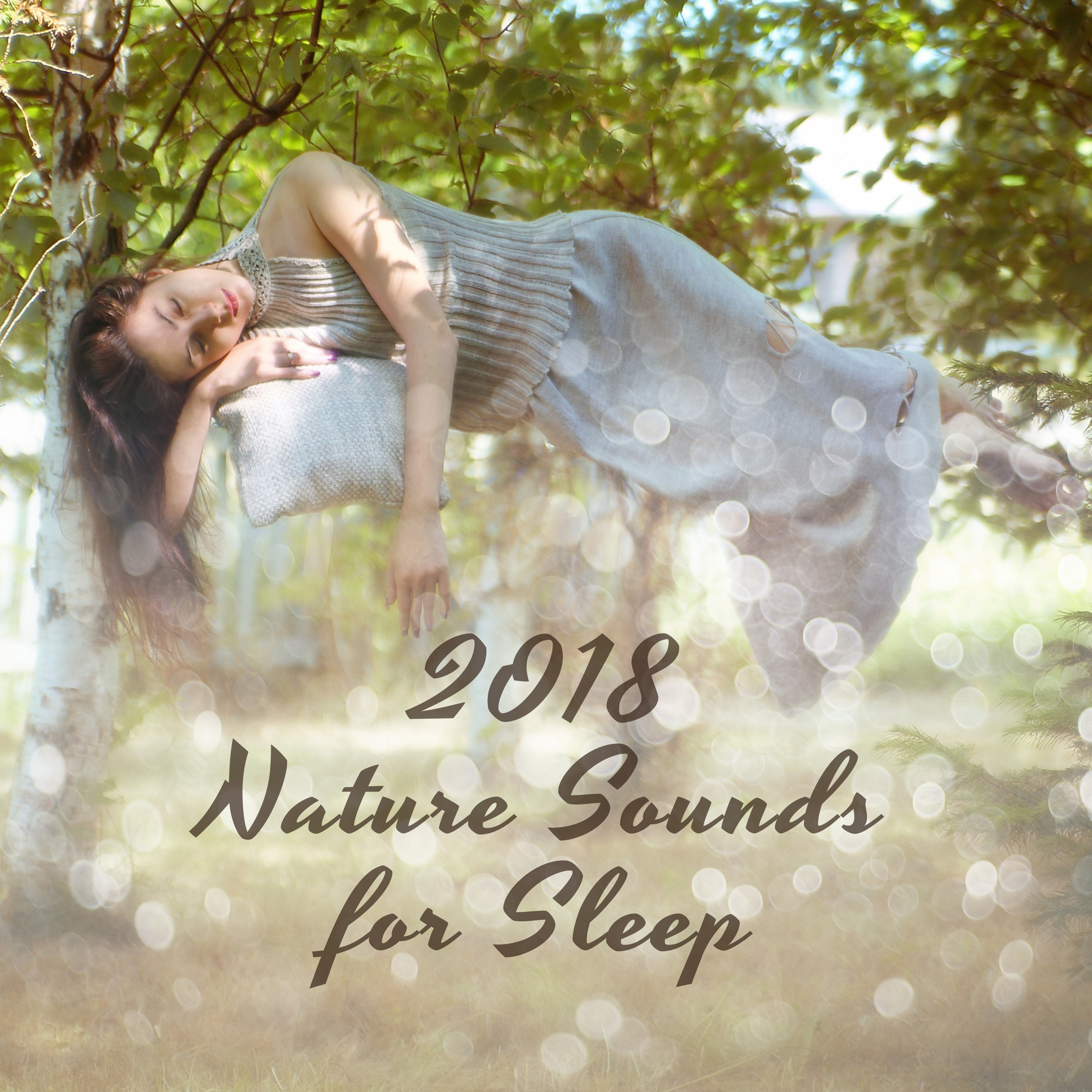 2018 Nature Sounds for Sleep
