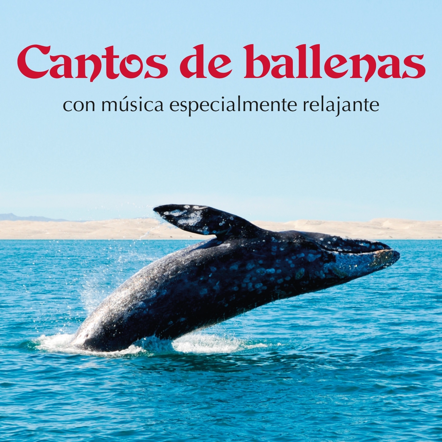 Cantos de Ballenas Con Música Especialmente Relajante