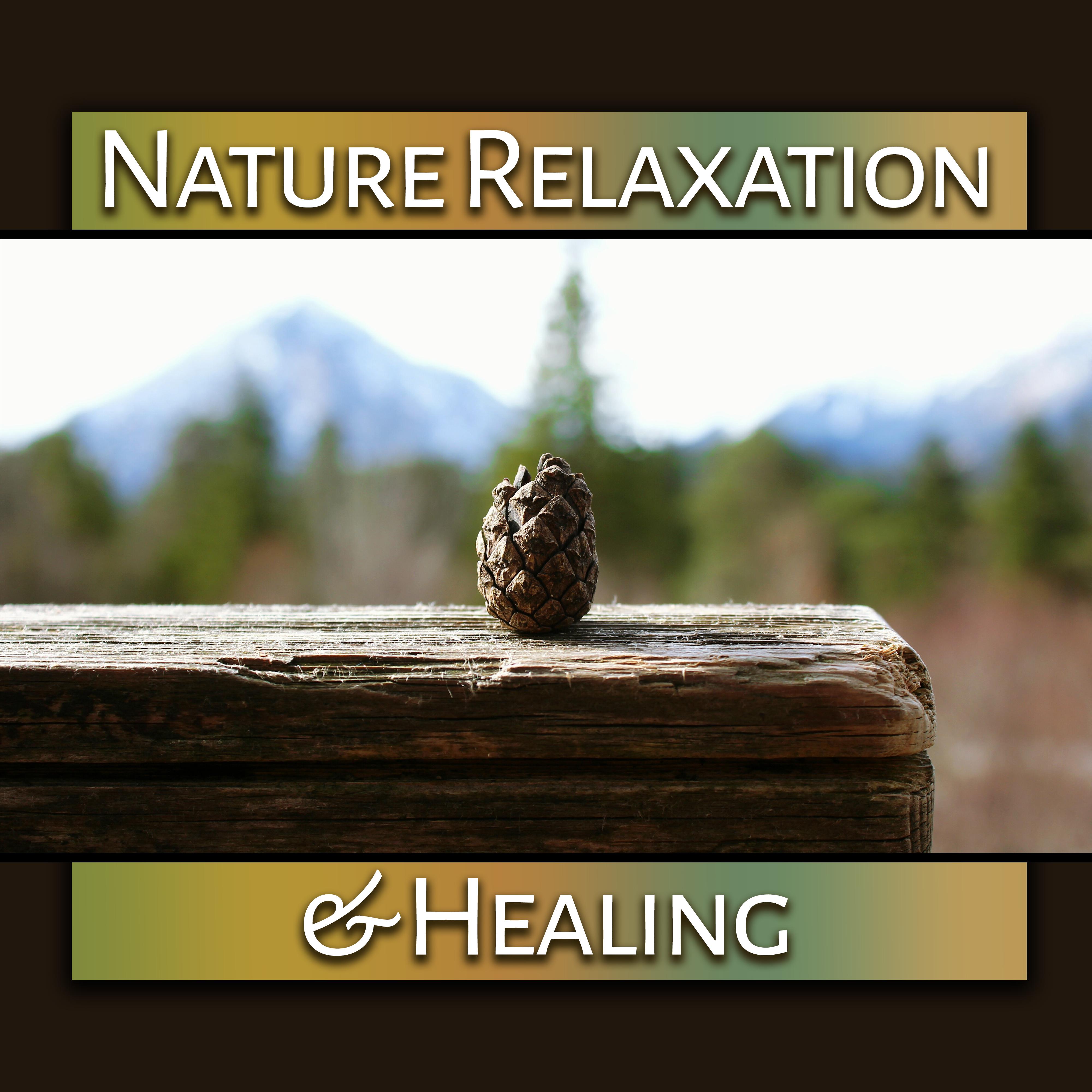 Nature Relaxation & Healing – Soothing Sounds, Clarity and Strength of Will, Water Waves