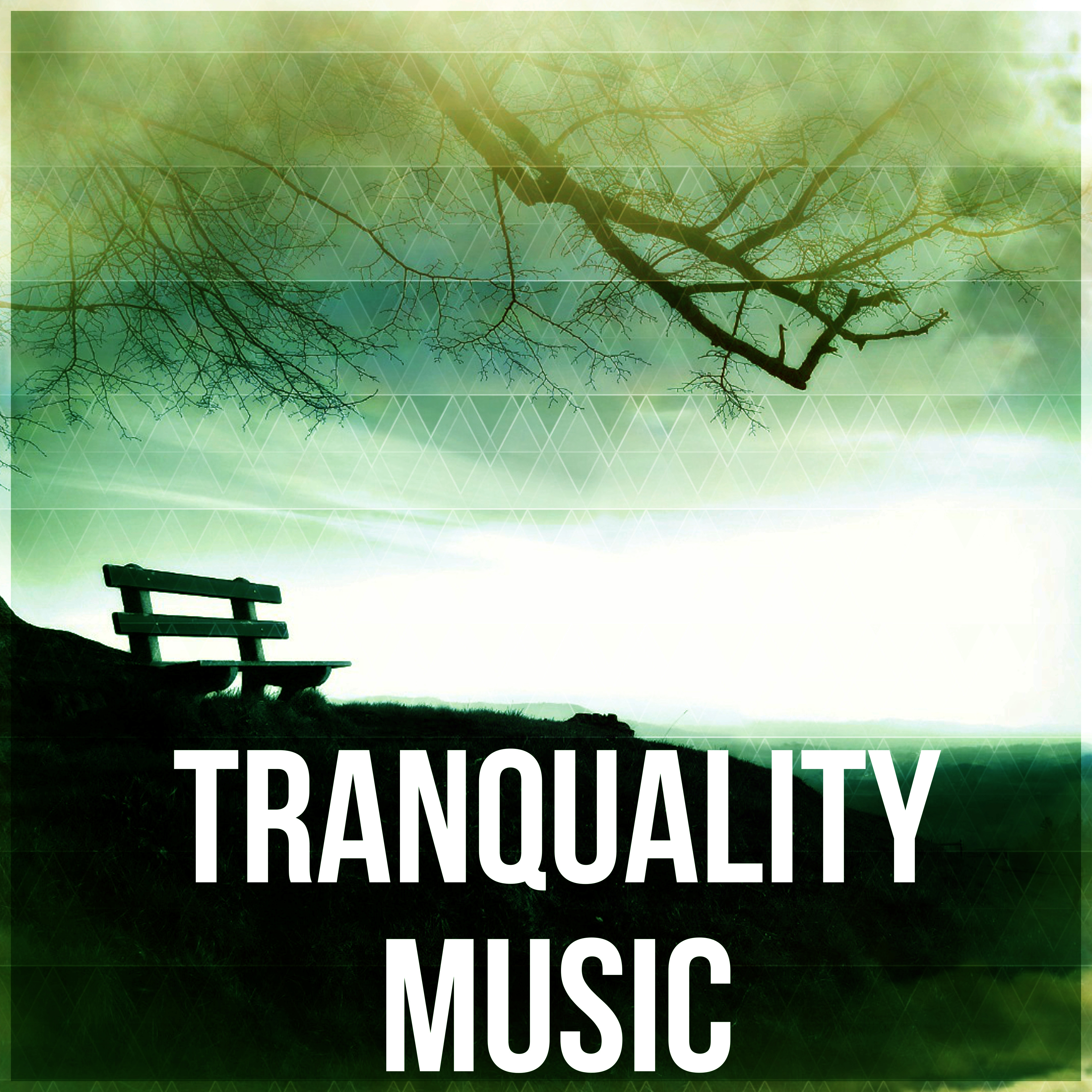 Tranquality Music - Sentimental Journey with Sounds of Nature, Massage, Reiki, Luxury Spa, Healing Through Sound and Touch