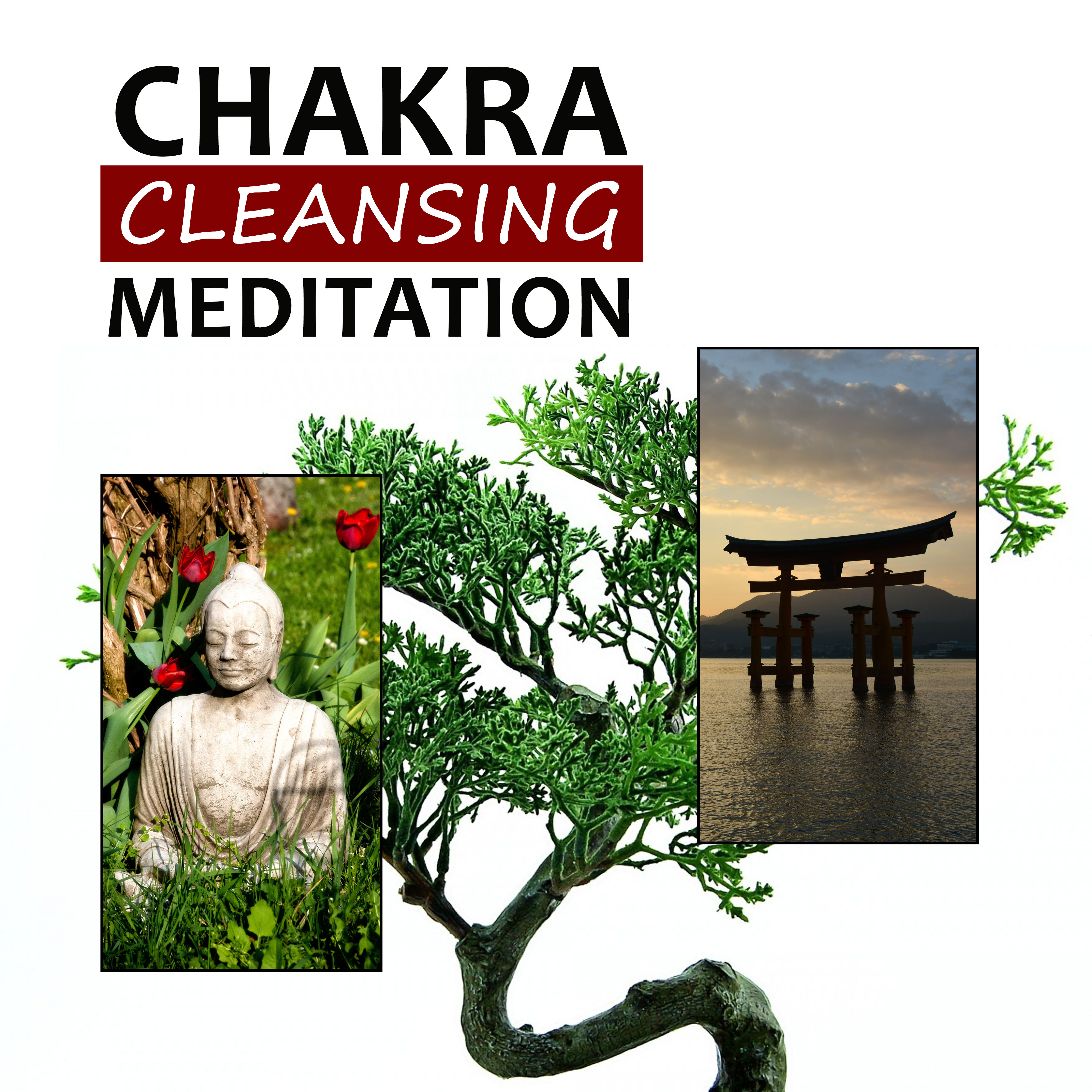 Chakra Cleansing Meditation – Calm Music for Meditation, Deep Nature Sounds, Om Chanting, Health Care, Sounds for Relax, Inner Peace