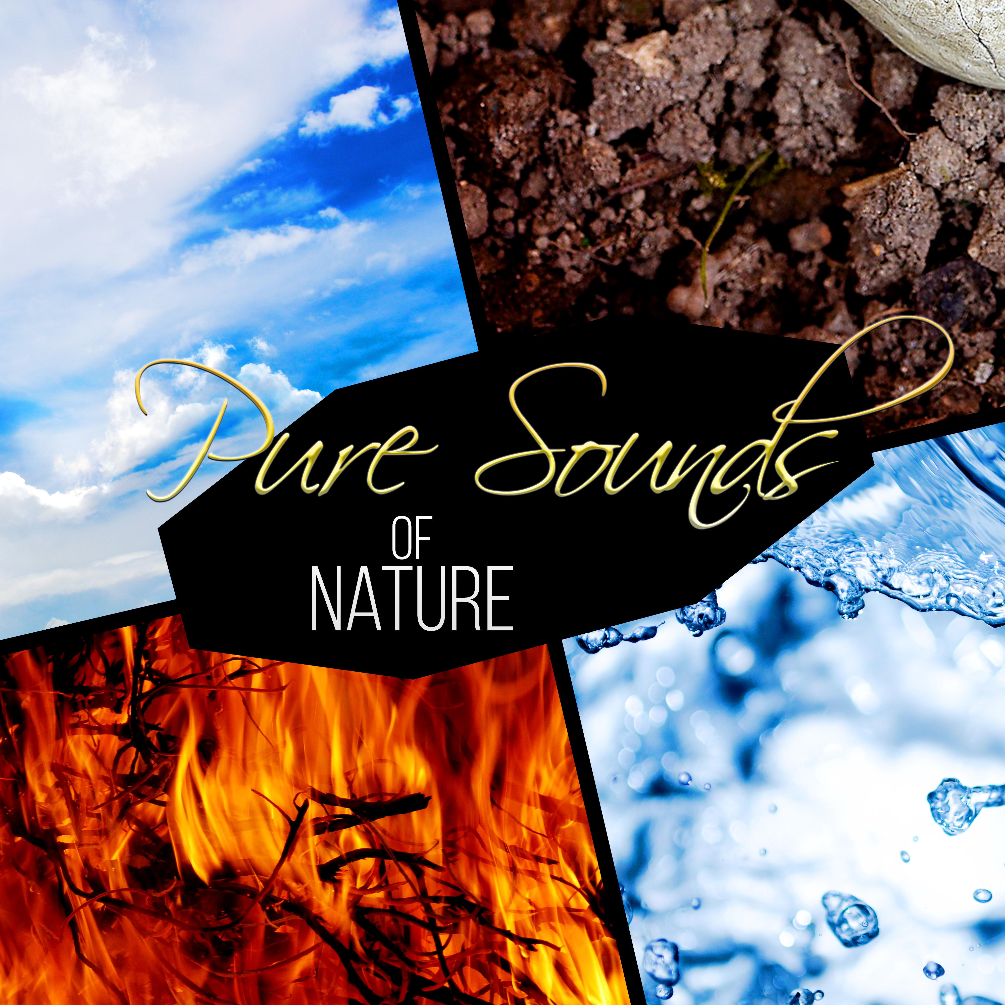 Pure Sounds of Nature – Relaxing Sounds Ocean Waves, Birds Sing, Crickets, Rain, Thunderstorm, Wind, Waterfalls and River