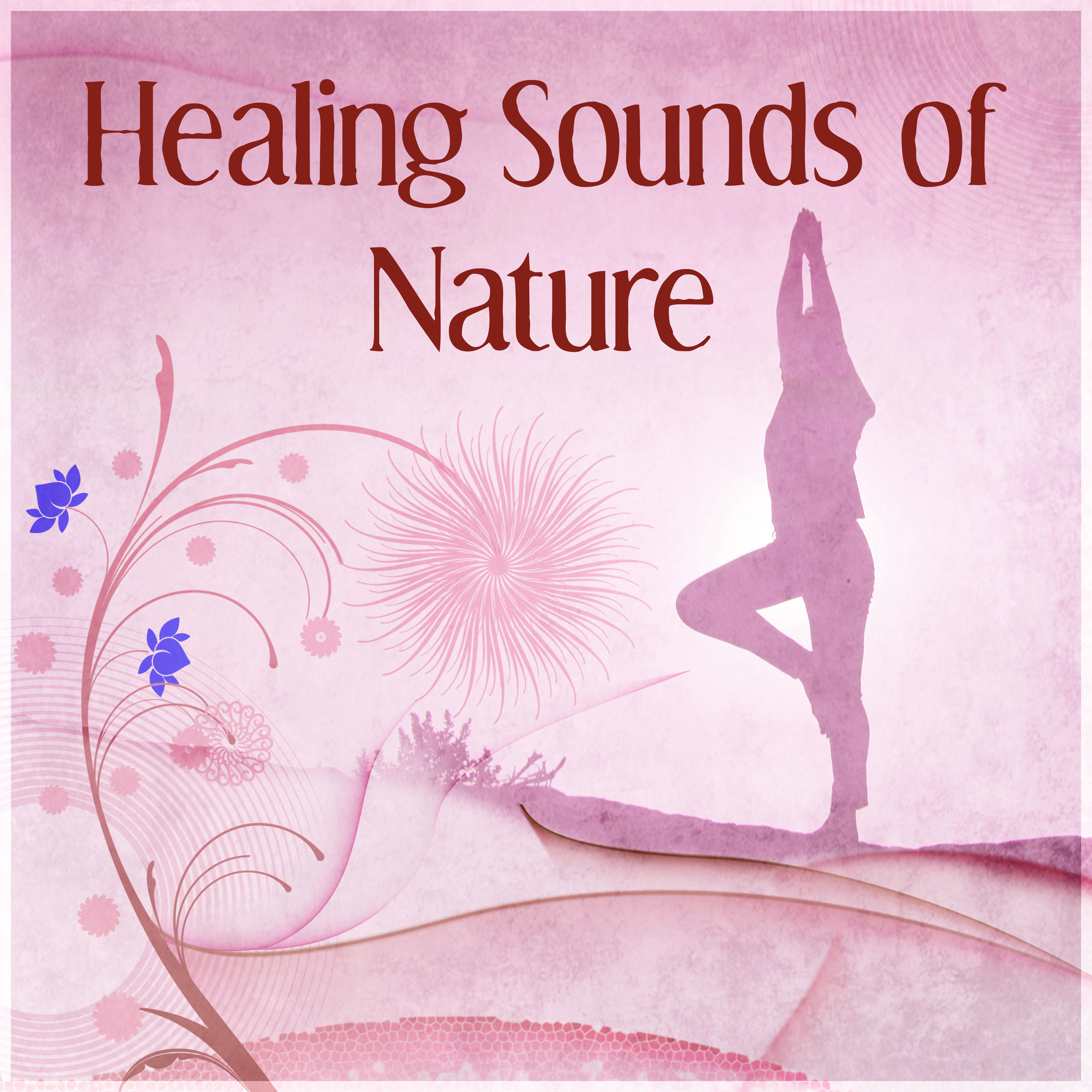 Healing Sounds of Nature – New Age Music for Deep Relaxation, Feel Inner Power with Healing Sounds, Background for Meditation, Deep Breathing