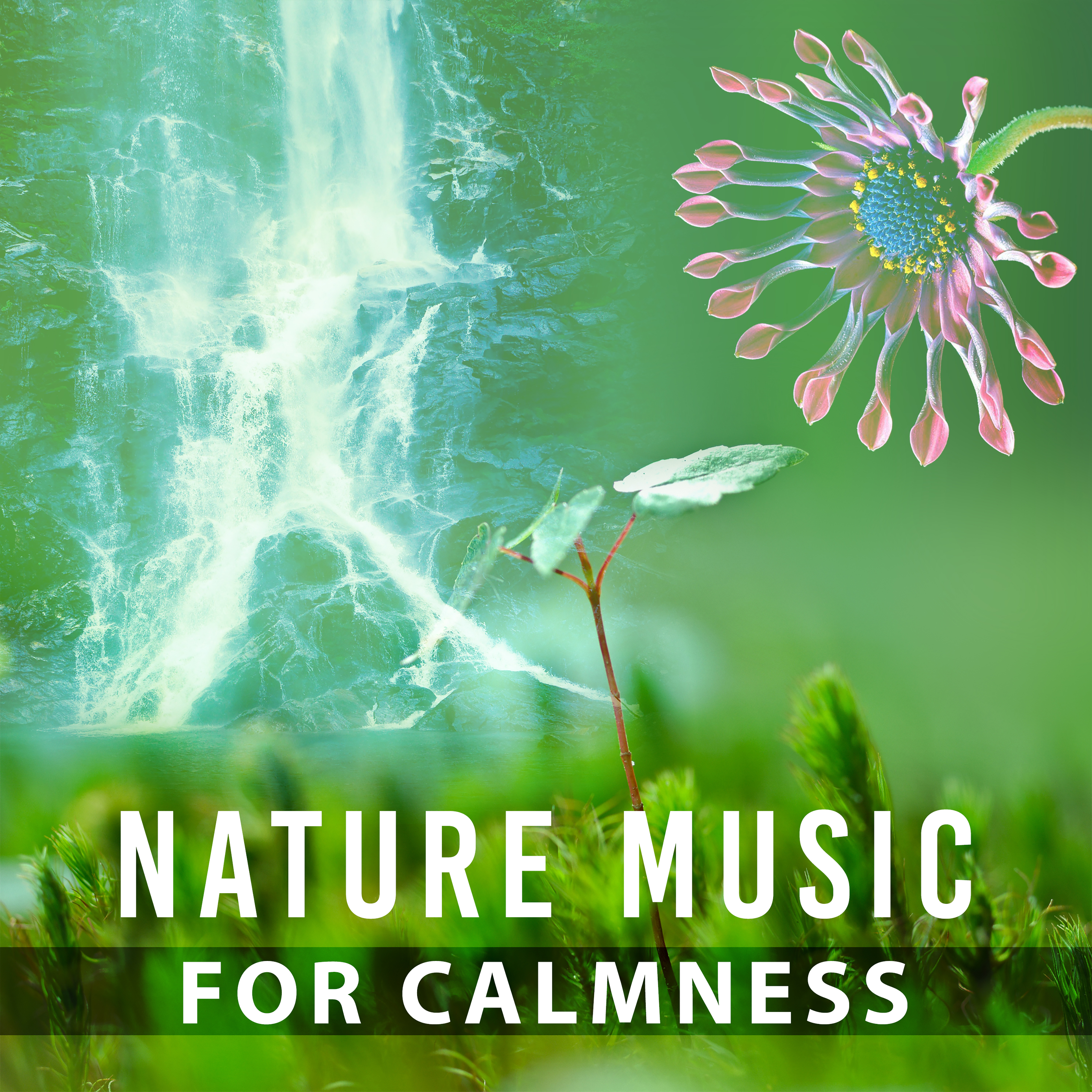 Nature Music for Calmness – New Age Relaxation, Nature World, Soothing Waves