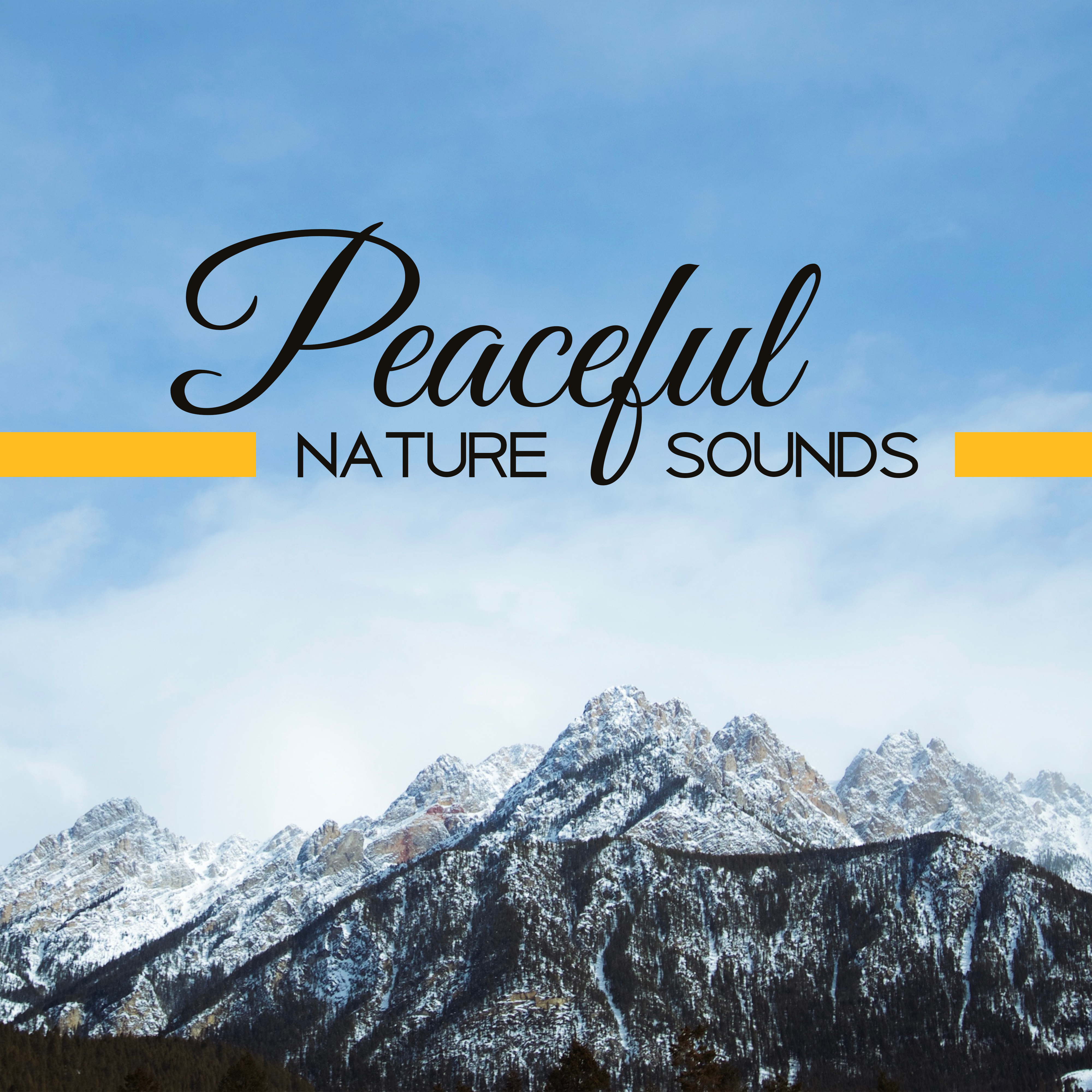 Peaceful Nature Sounds – Relaxing Waves, Soothing Rain, Water, Pure Sleep, Deep Rest