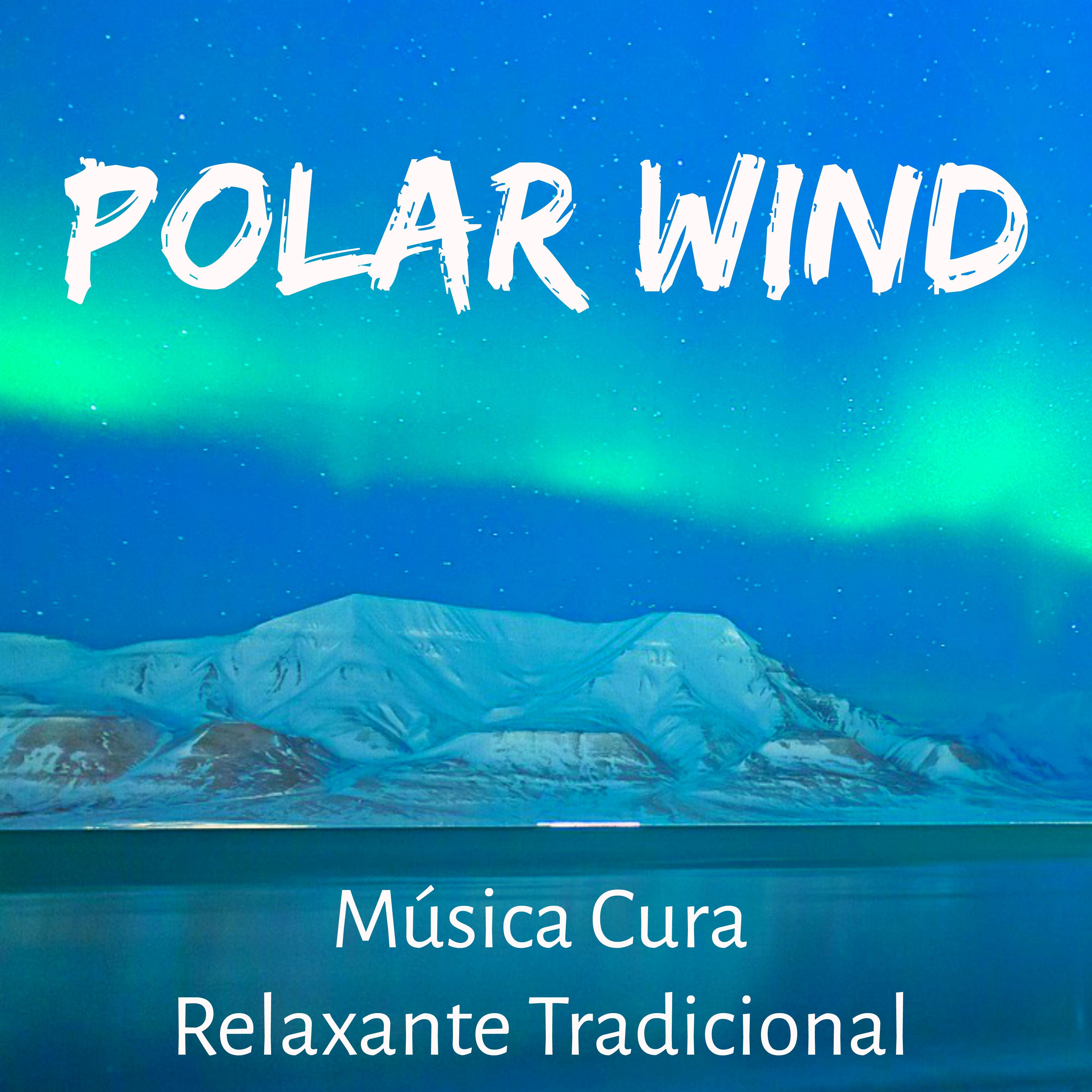 Polar Wind - Música Cura Relaxante Tradicional para Saude Mental Floco de Neve Feriado de Natal com Sons de Natureza New Age Instrumentais