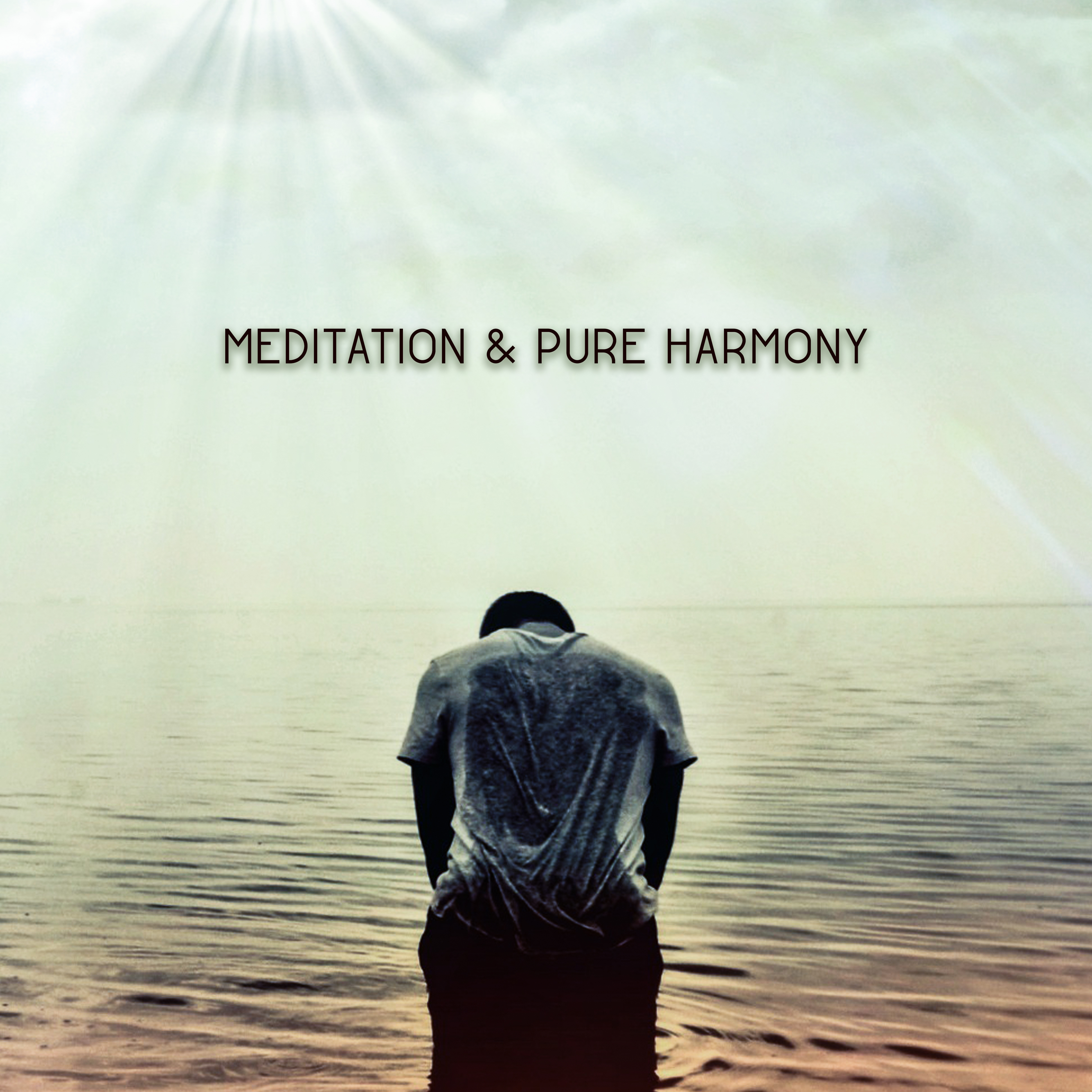 Meditation & Pure Harmony