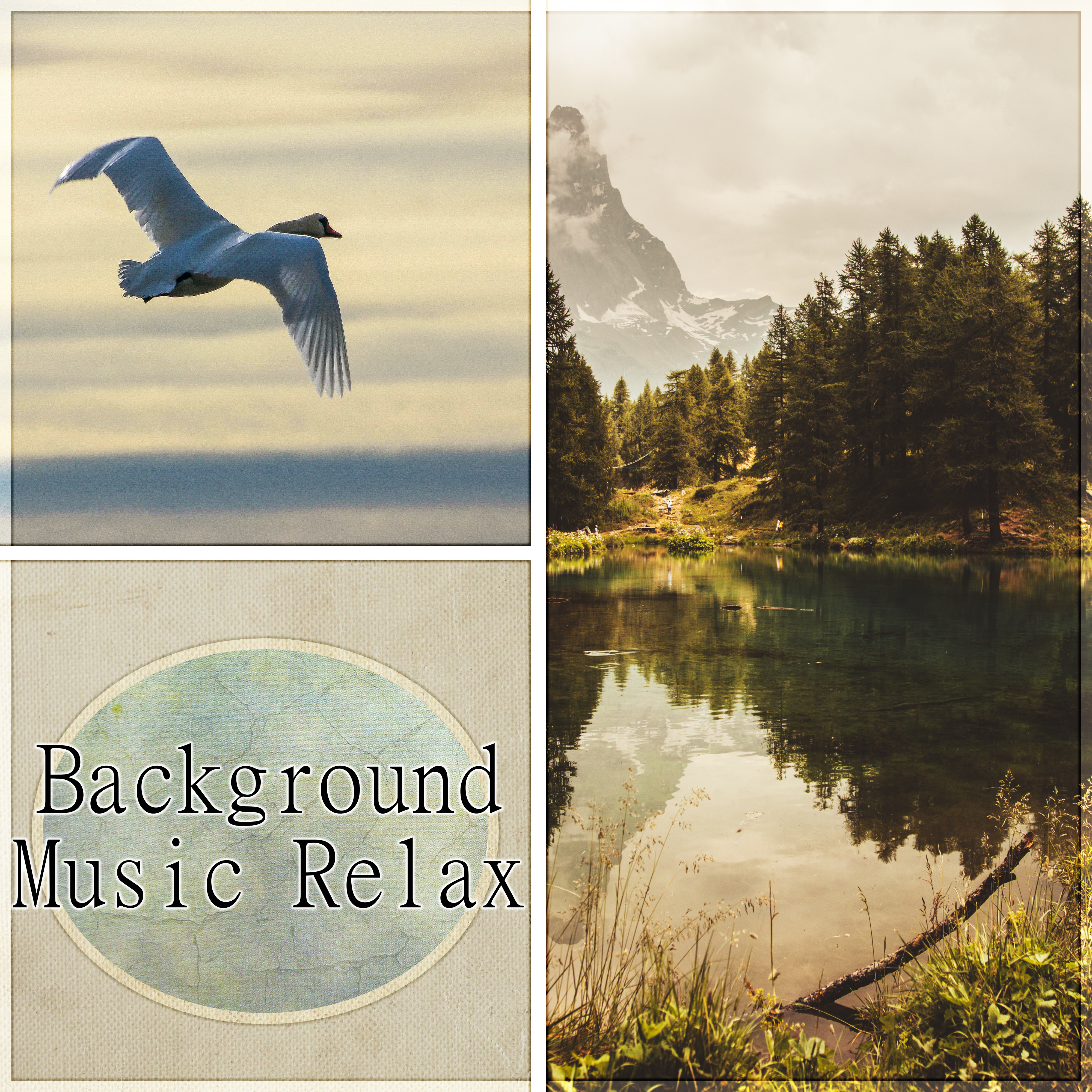 Background Music Relax - Sounds of Nature for Sleeping, Music for Stress Relief, Relaxation