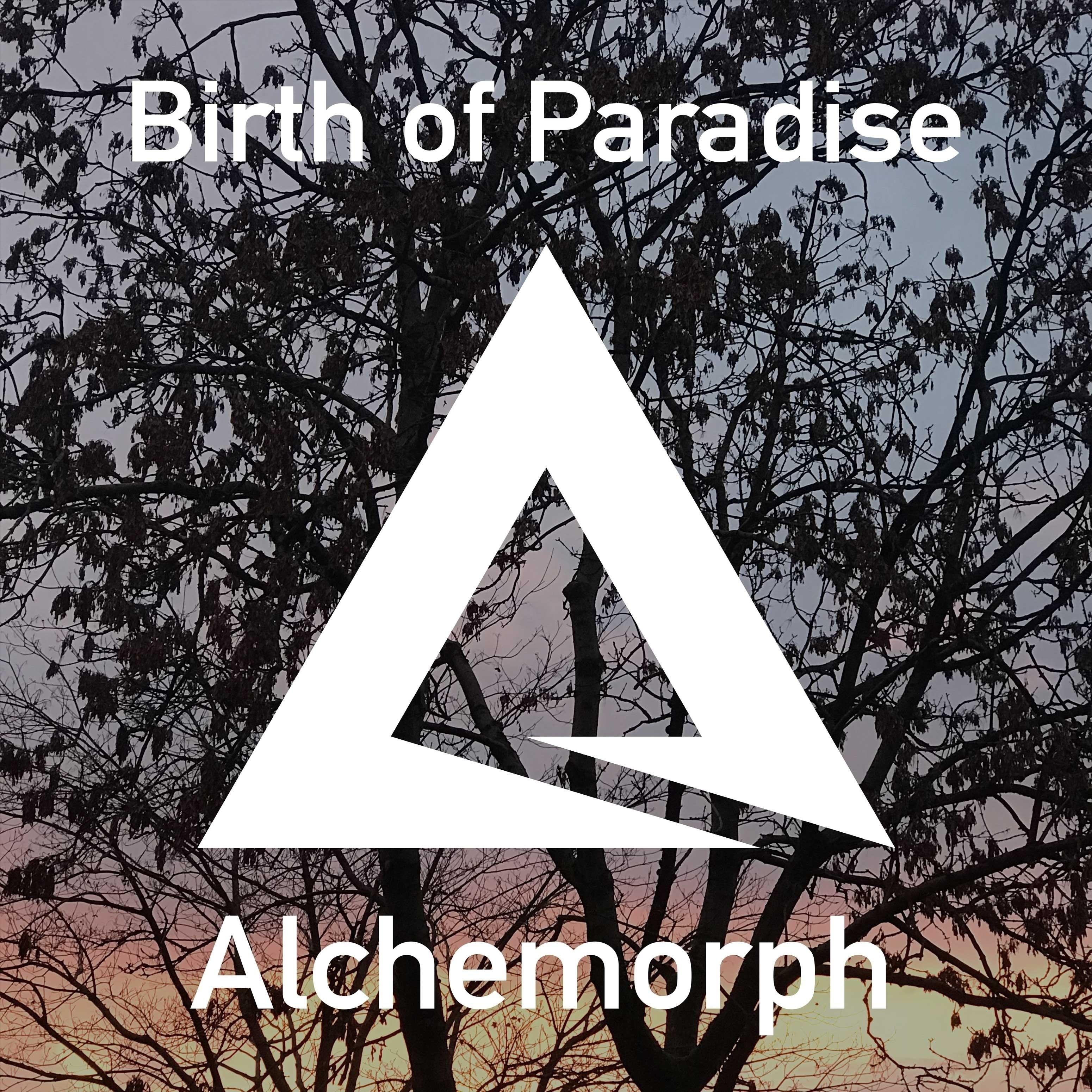 Birth of Paradise