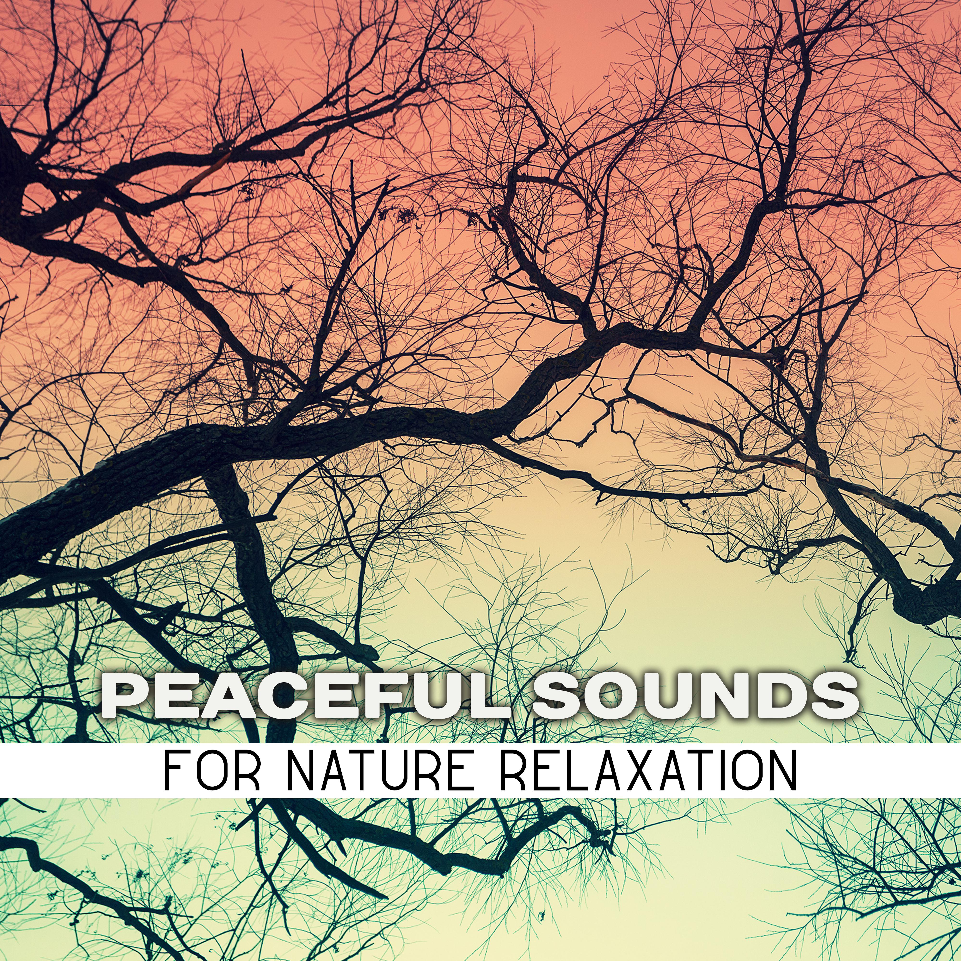 Peaceful Sounds for Nature Relaxation
