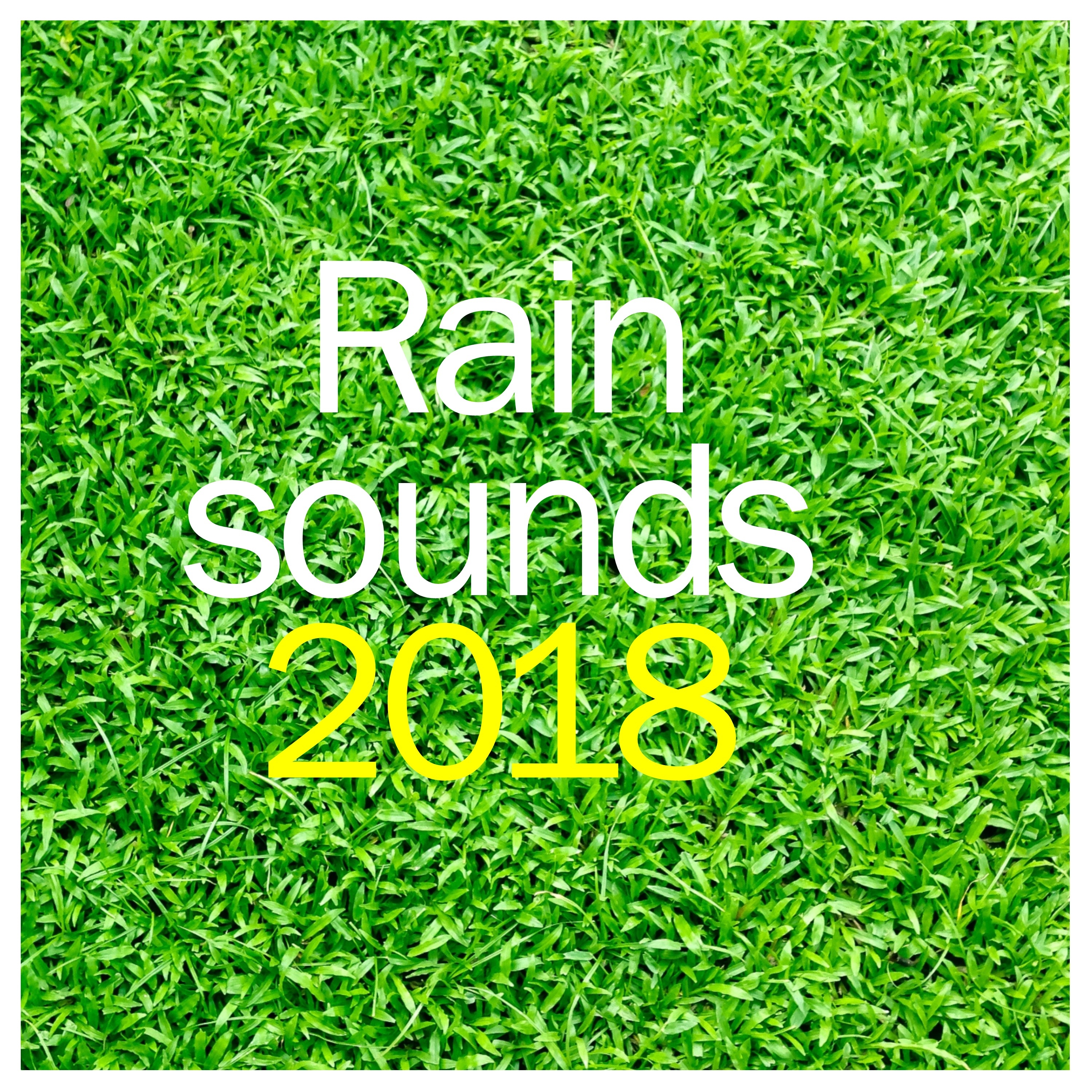 #19 Mindfulness Rain Sounds for Relaxation and Calm