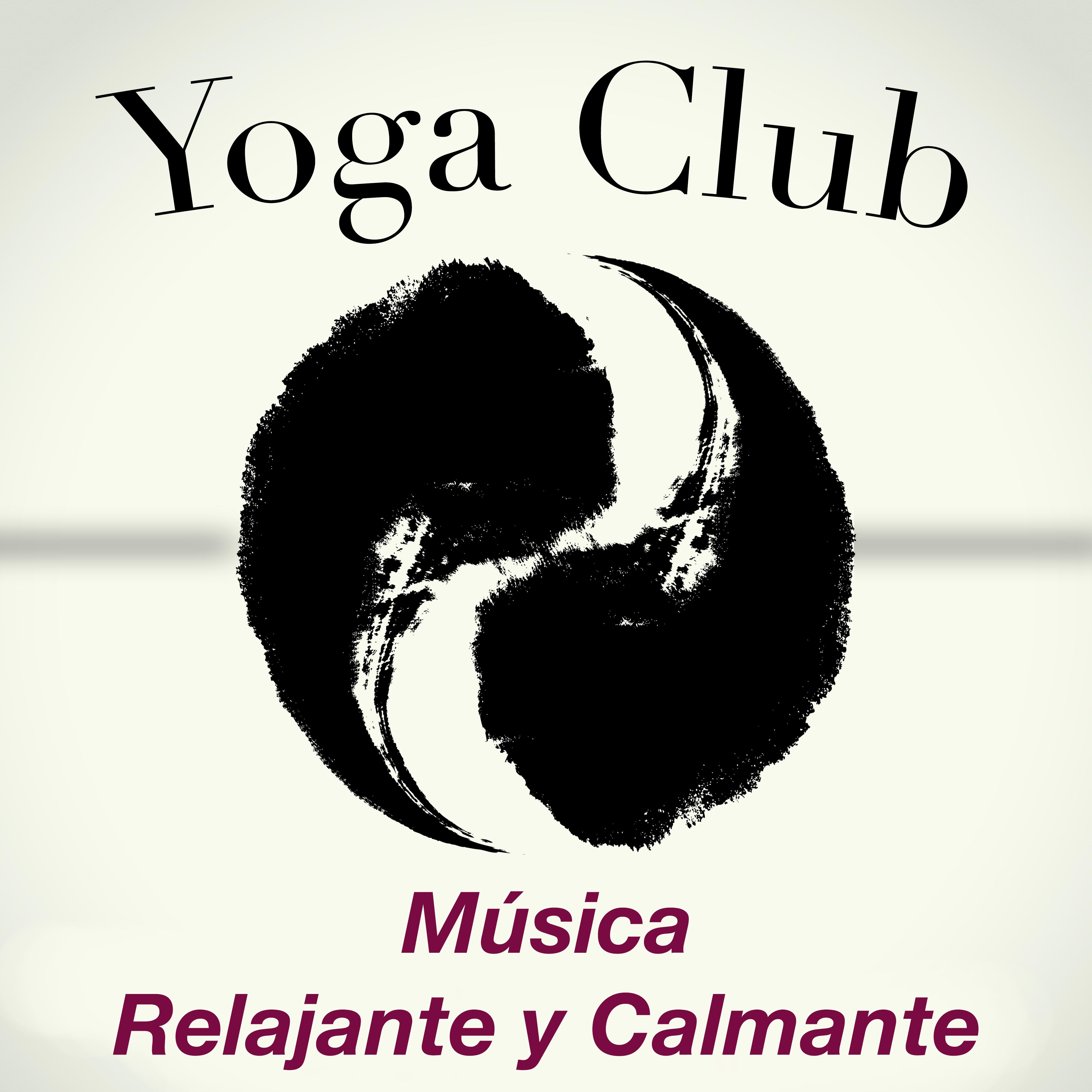 Yoga Club - Música Relajante y Calmante para Clases de Yoga